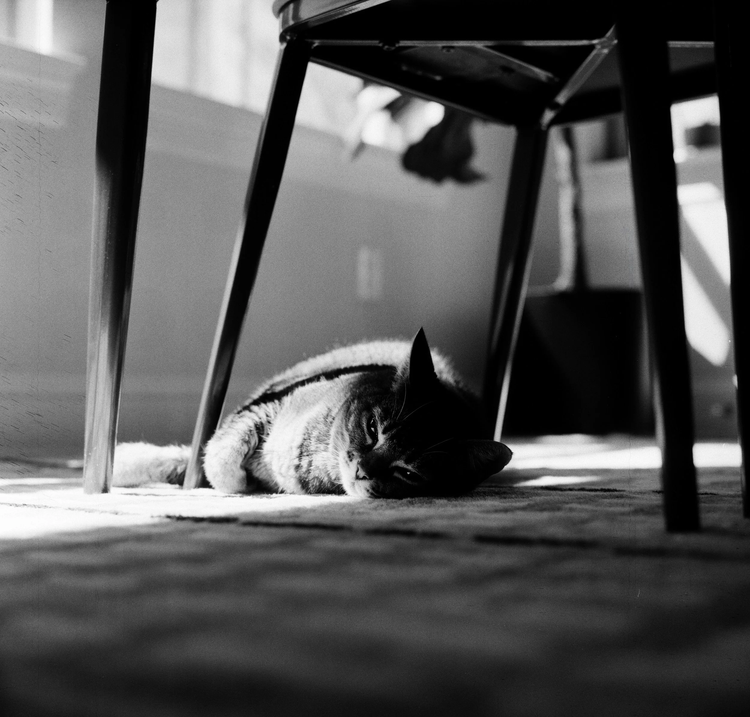20260423 B&W 10.jpg