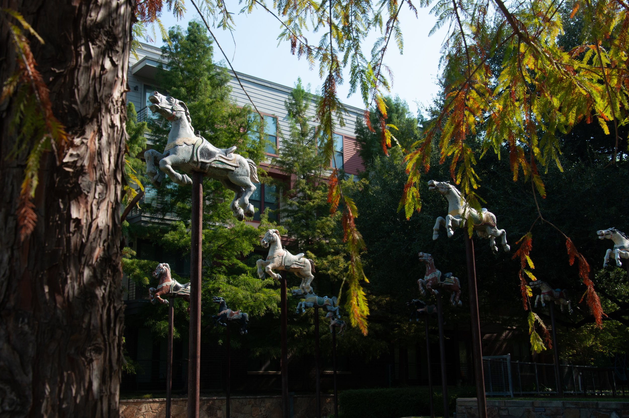 20250919 Shehryar 61.jpg