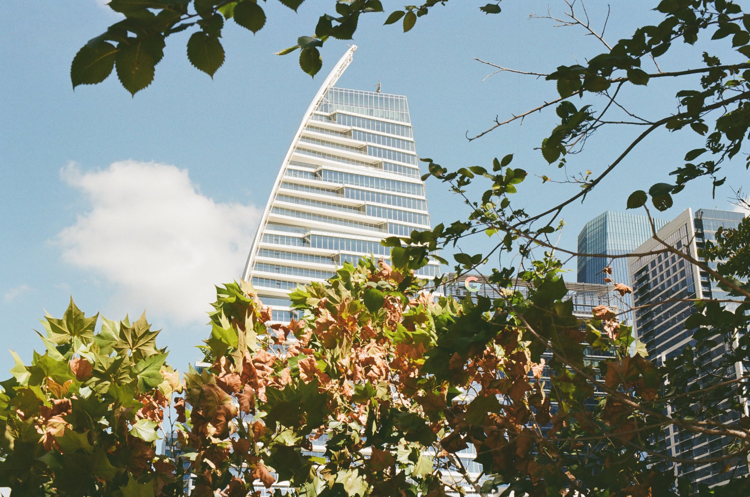 20251029 Shehryar 95.jpg