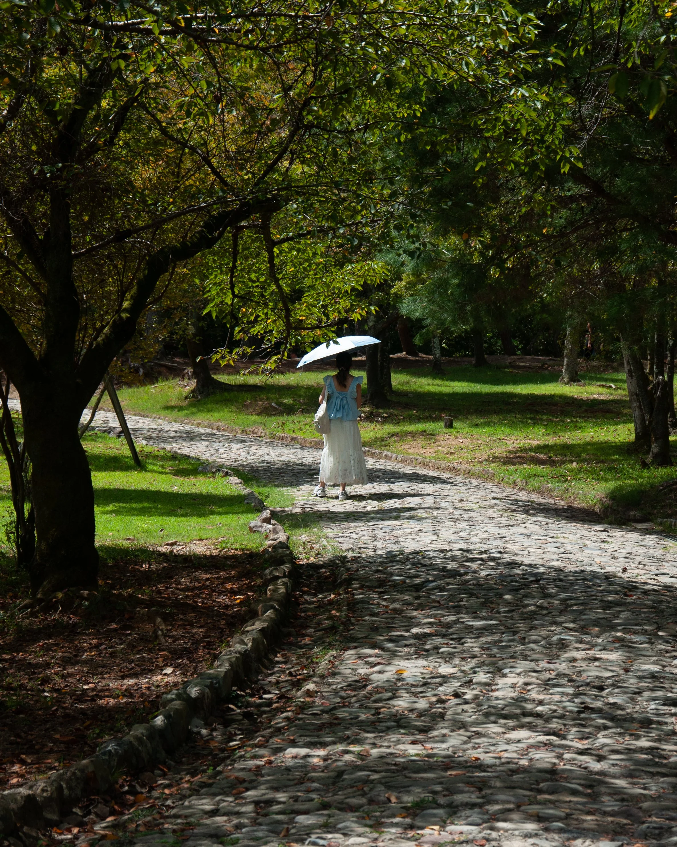 20250902 Shehryar 39.jpg