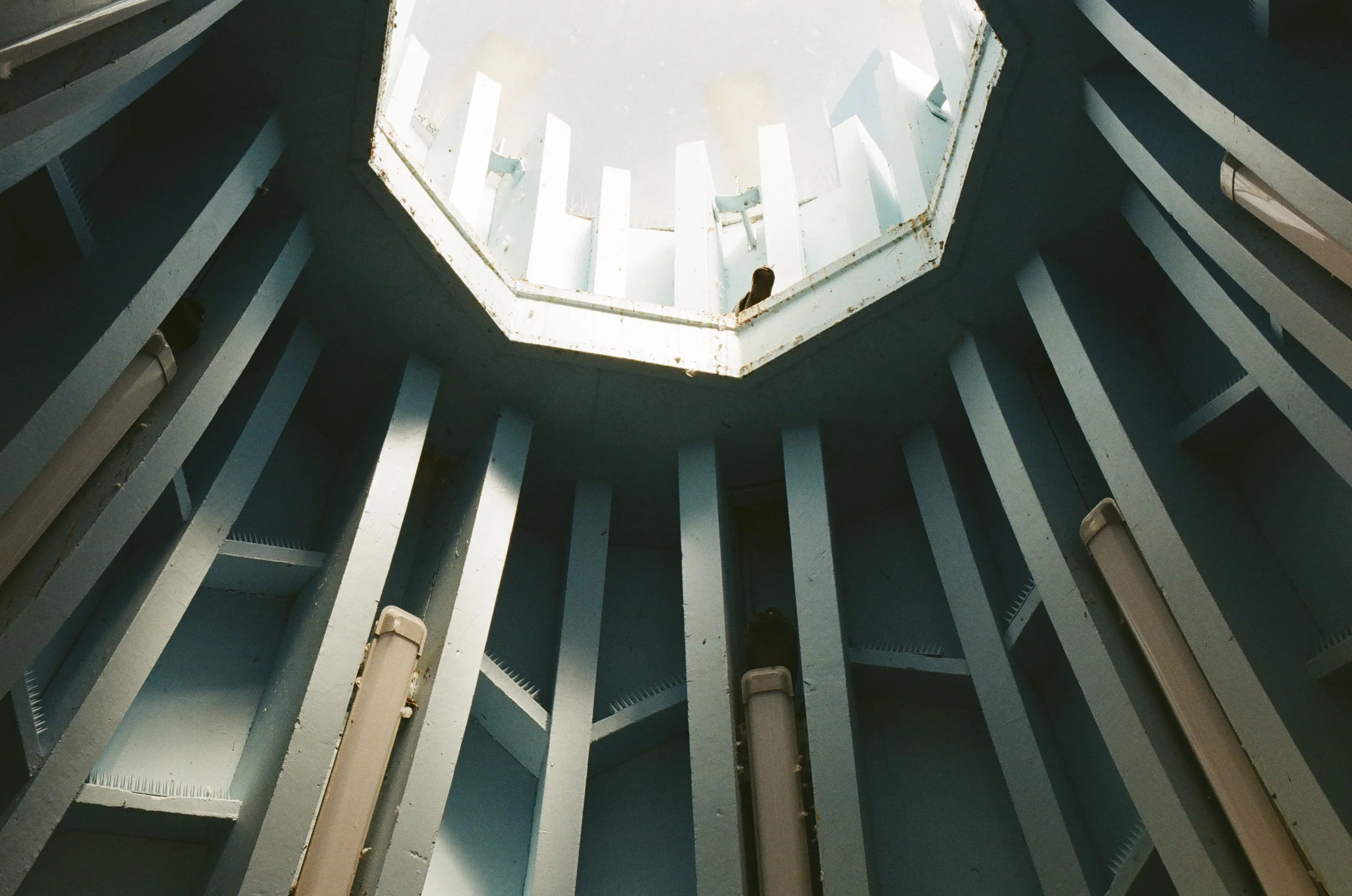 20251029 Shehryar 94.jpg