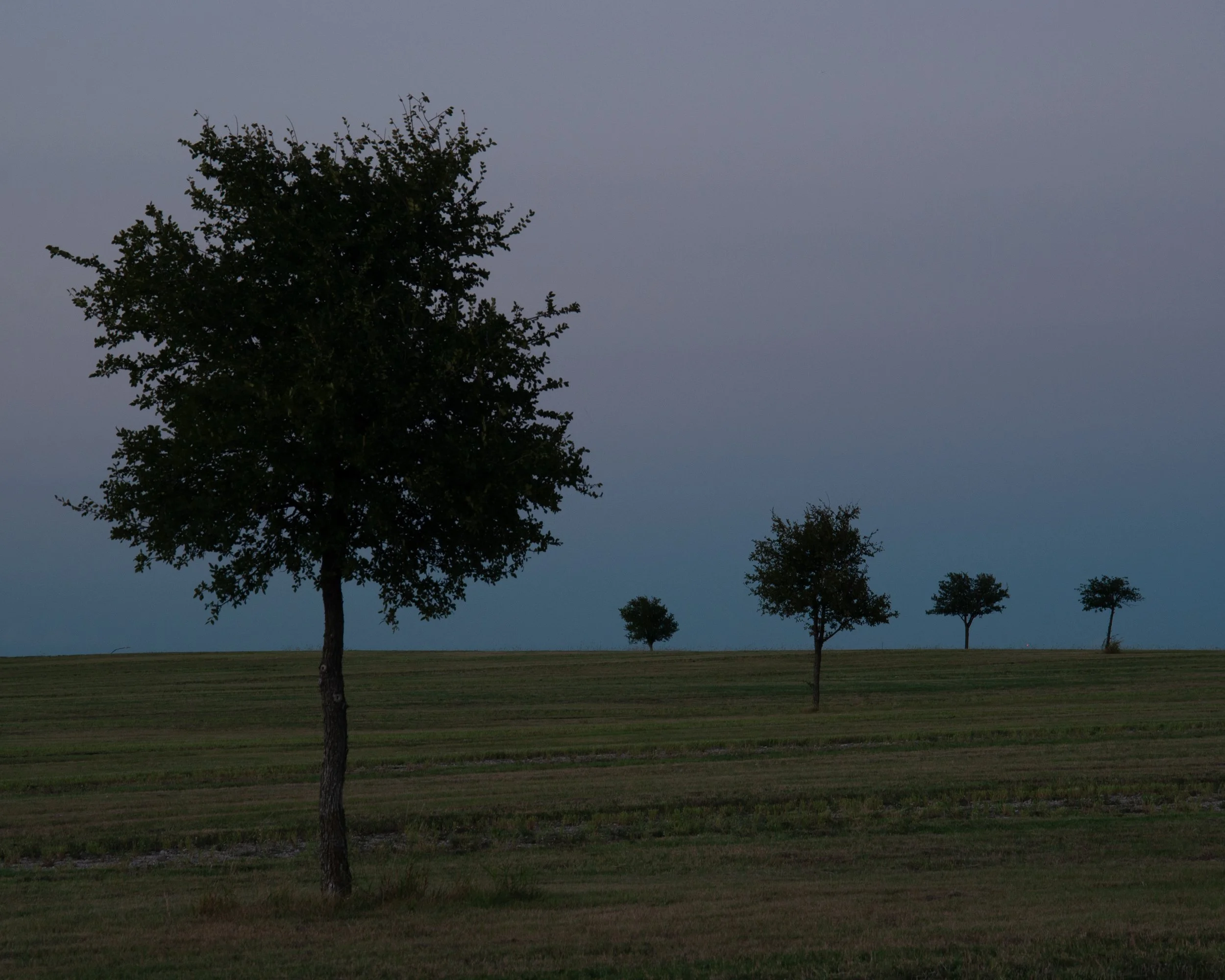 20250924 Shehryar 69.jpg