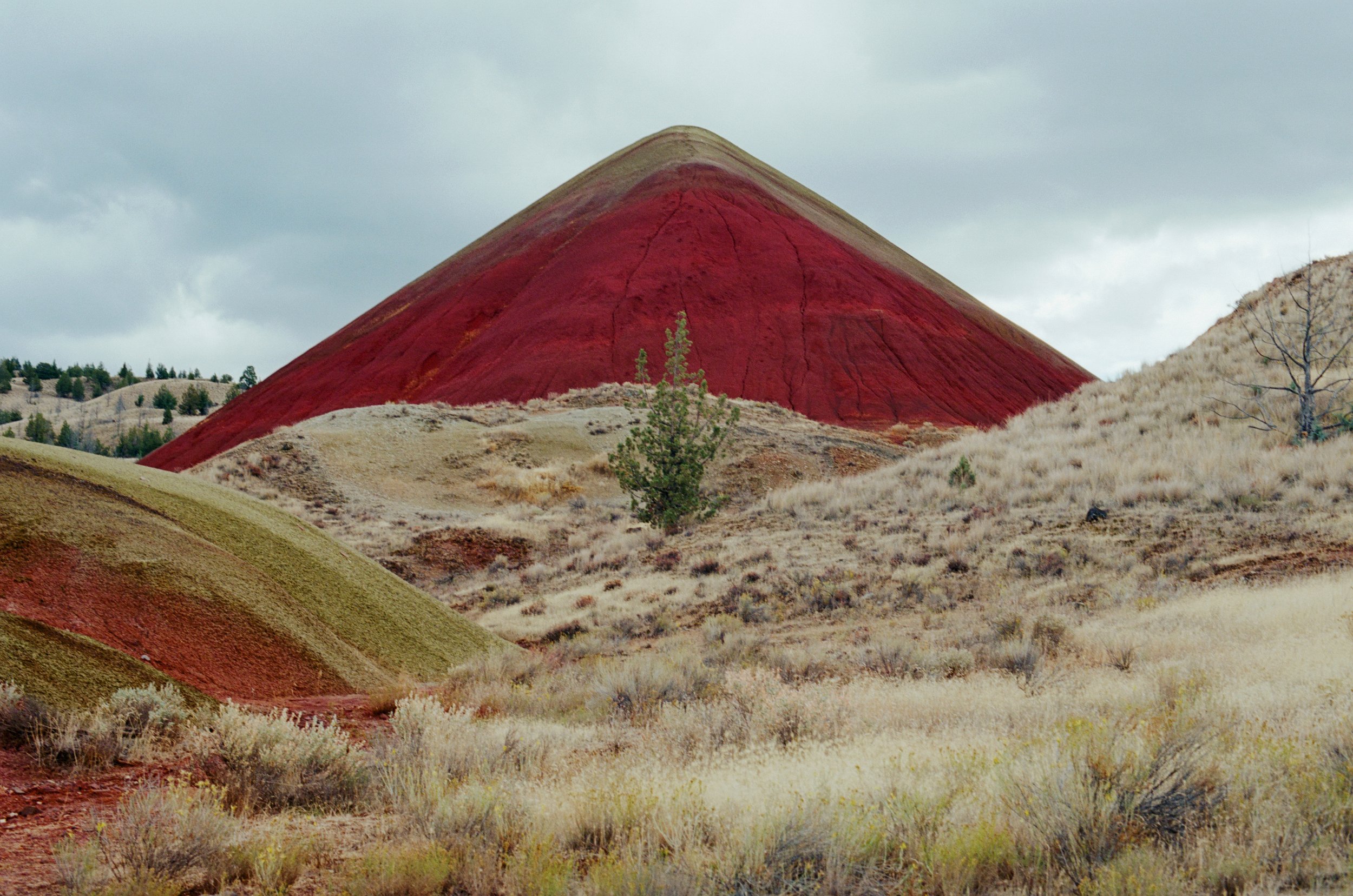 20251017 Oregon 10.jpg