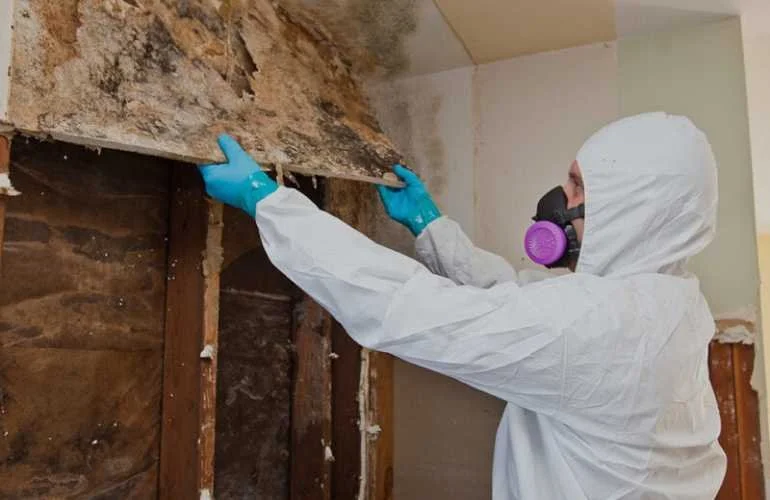 Mold & Bio Remediation
