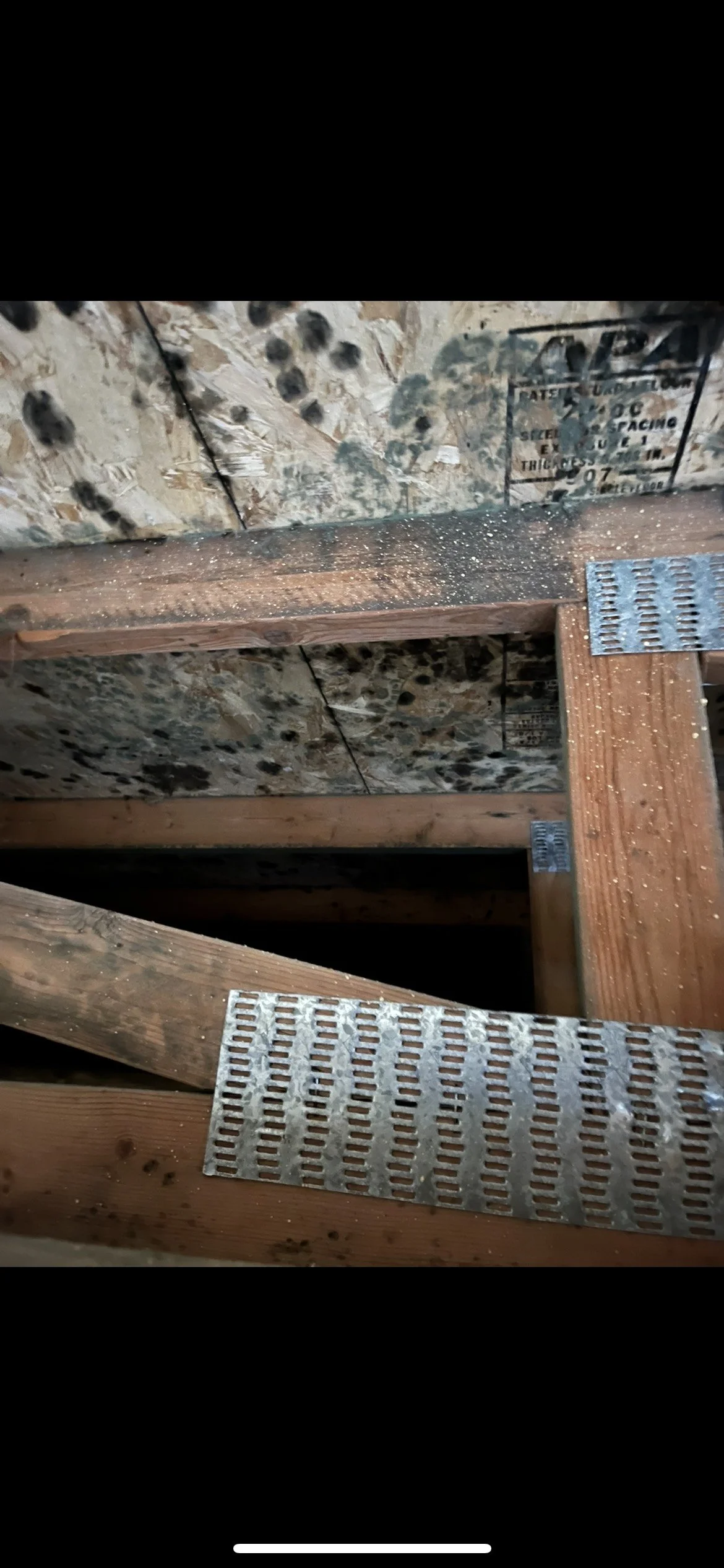 A mountain landscape with snow-capped peaks in the background, rolling green hills in the foreground, and a modern building constructed on the hillside.