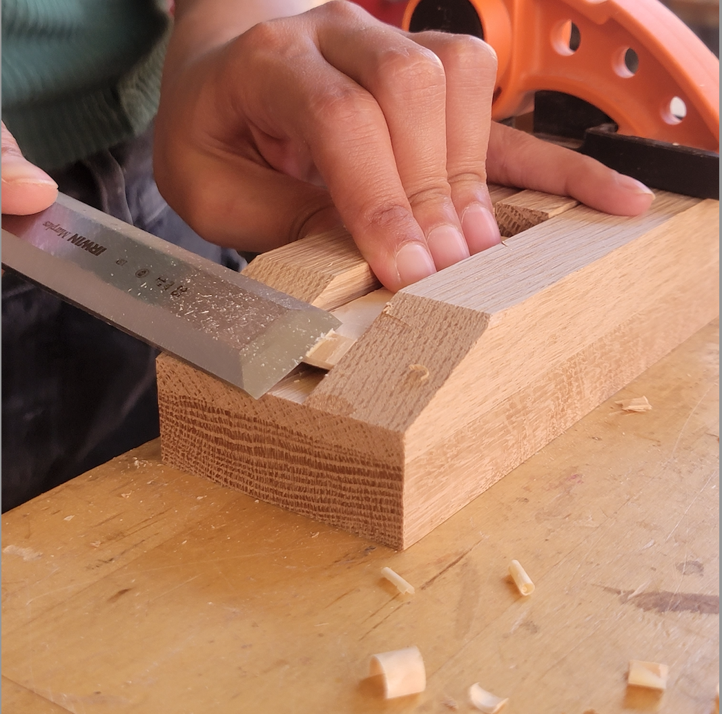 Portfolio-Focused, Curriculum-Connected Learning              (9th - 12th Grade)