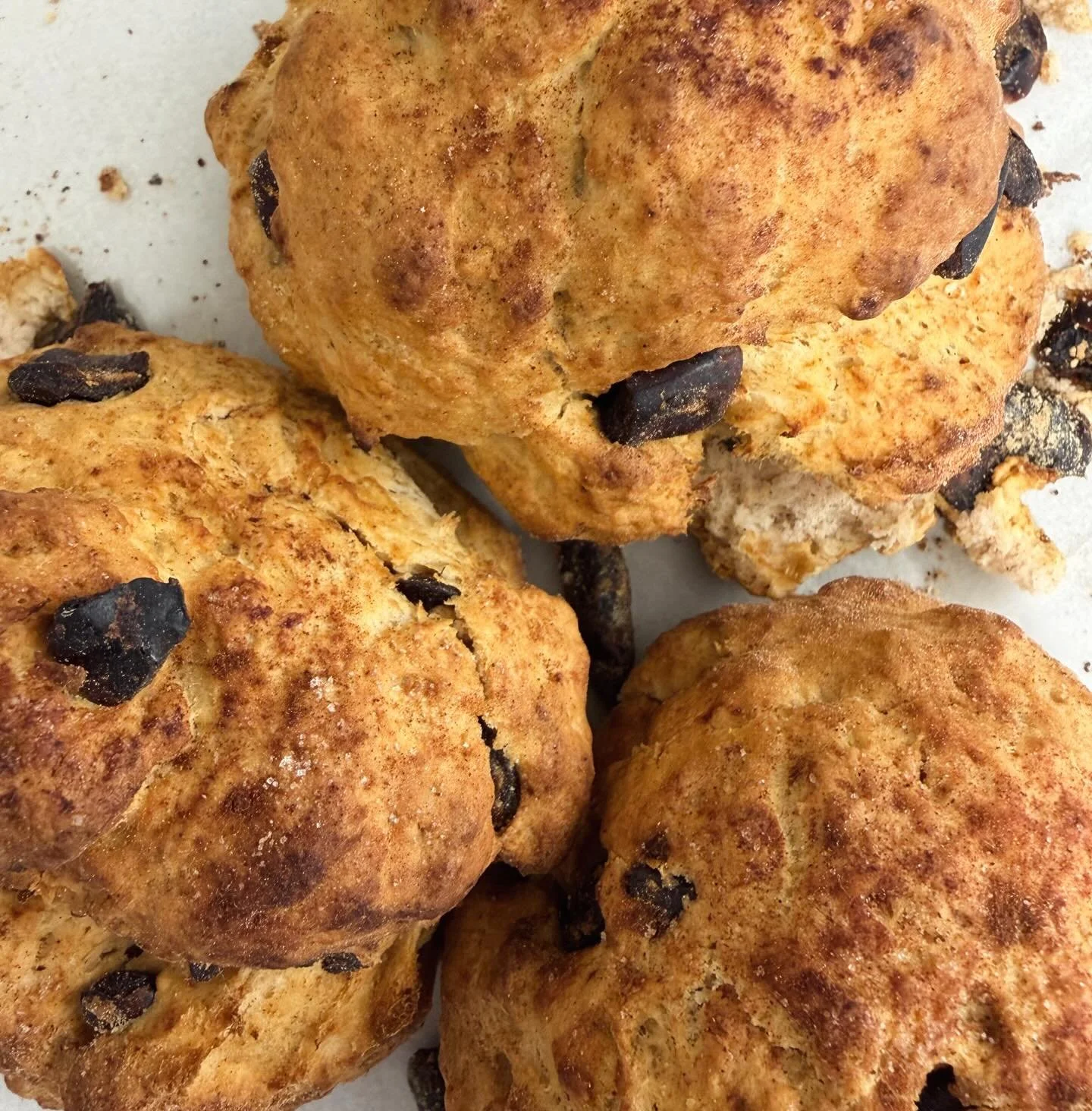 One of our all-time favourite foods, reimagined 🍦

Date Scone - combining warm spices, sweet date sauce, &amp; fresh scones blitzed into in every scoop.

Now scooping in Ponsonby &amp; Hamilton.