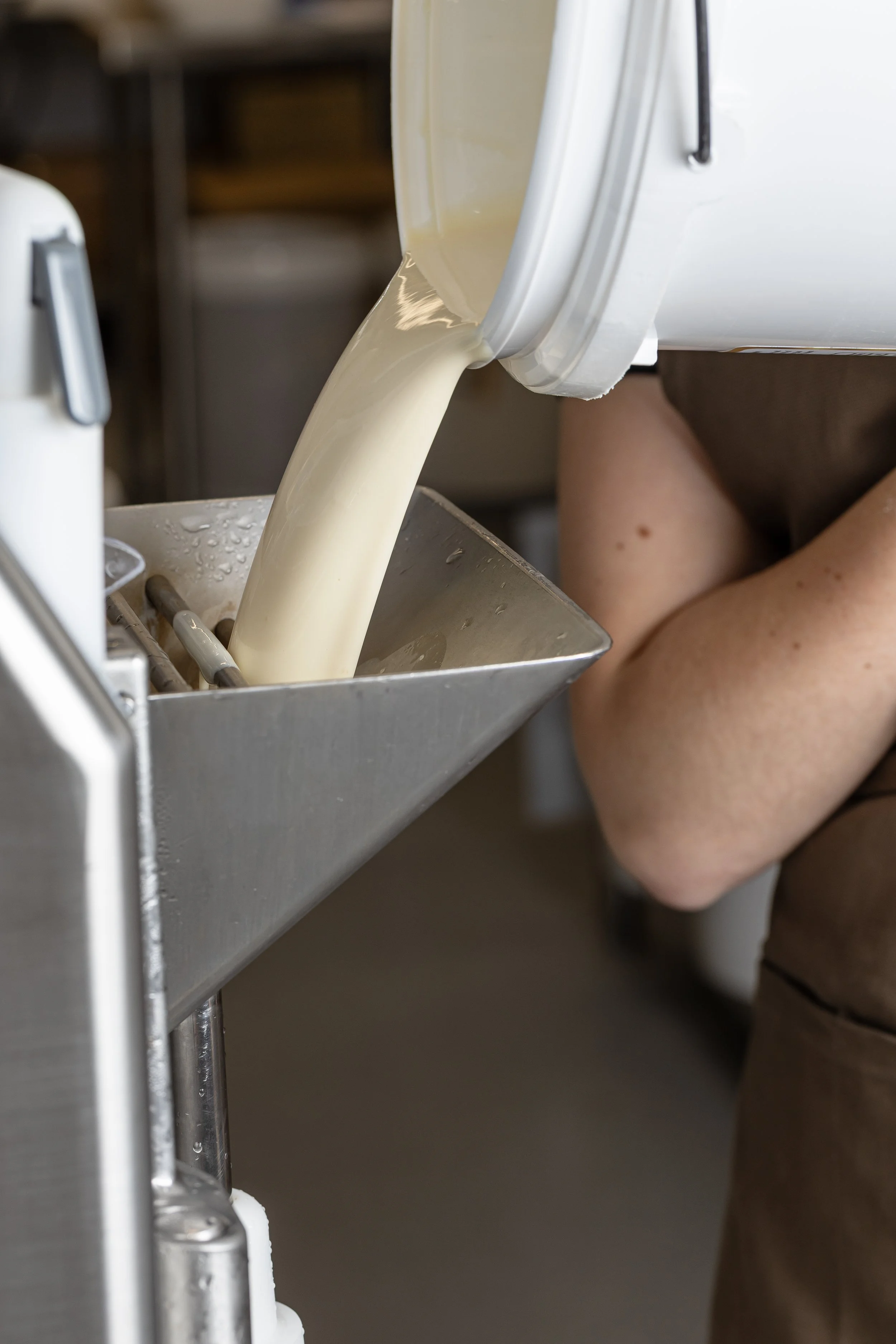A Supplier Spotlight - Kaipaki Dairies