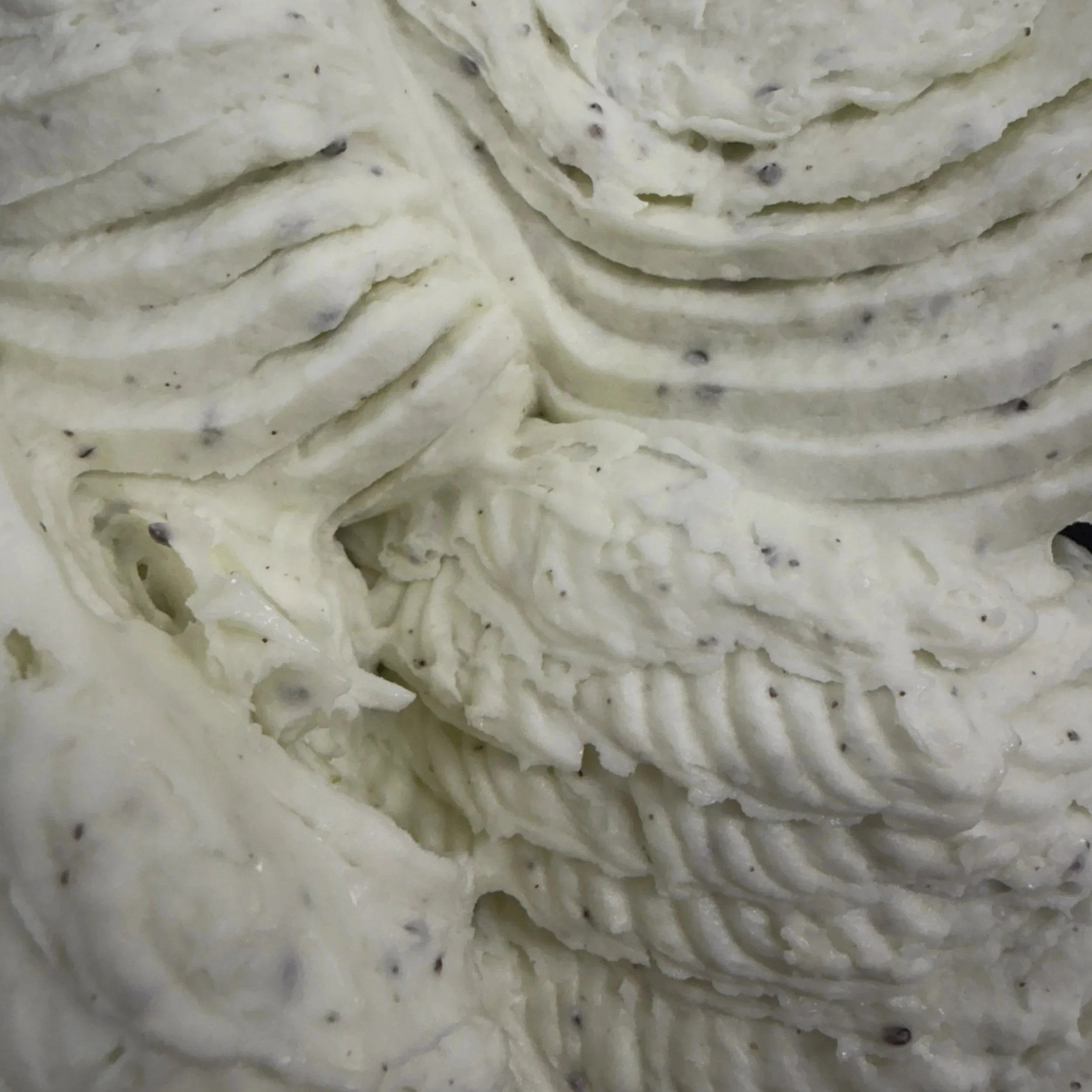 Little 'Lato silver medal winning Kiwifruit Aloe Vera sorbet, Auckland New Zealand