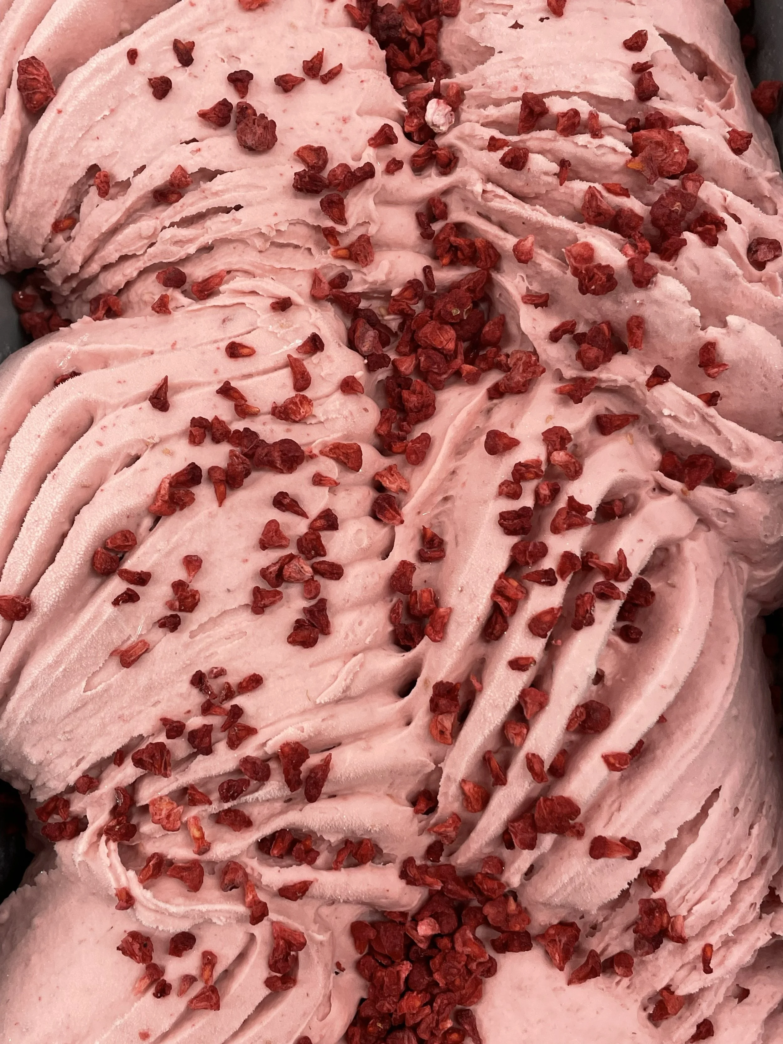 Little 'Lato silver medal winning Coconut Raspberry Pomegranate vegan gelato, Auckland New Zealand