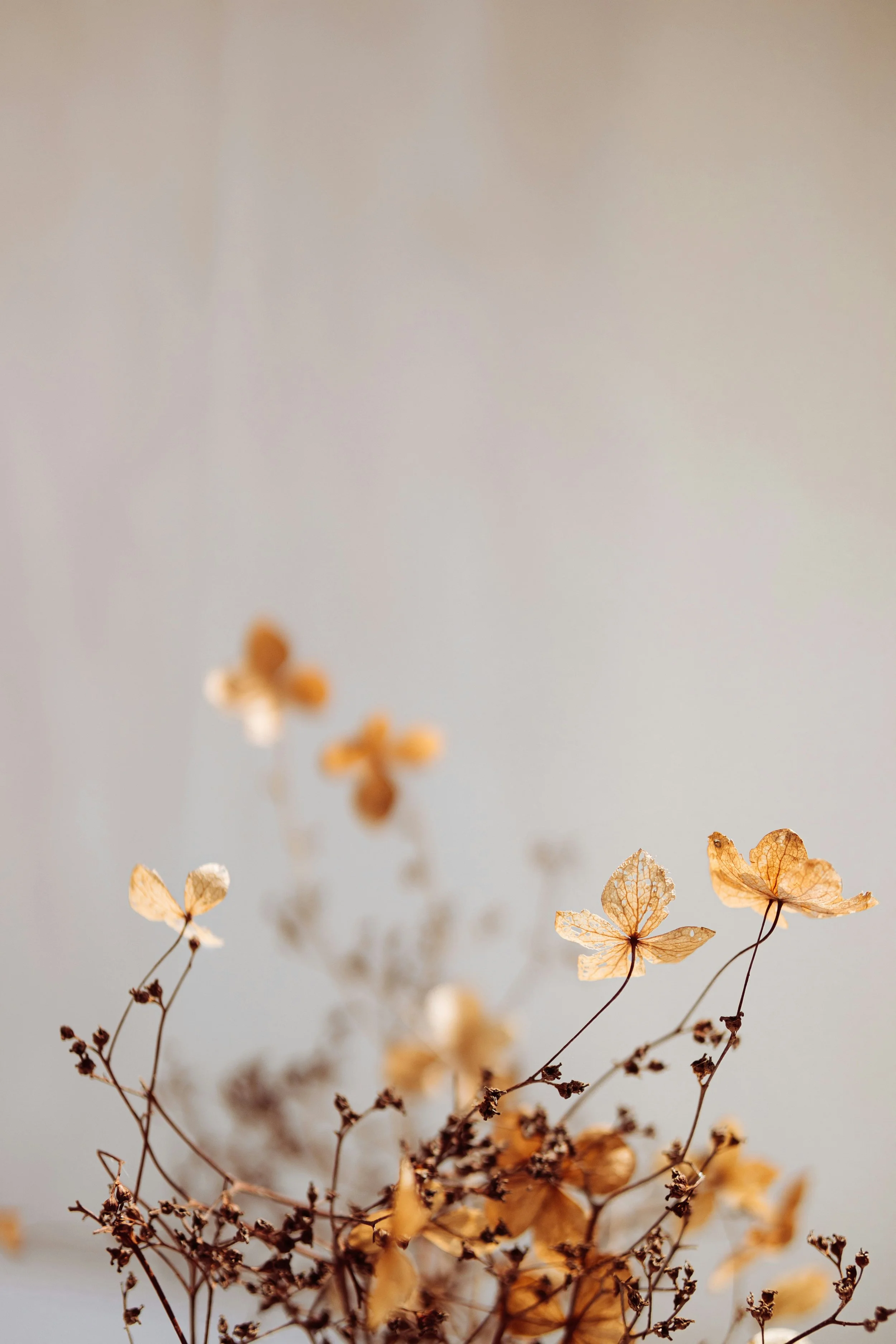 Teaching versus Telling