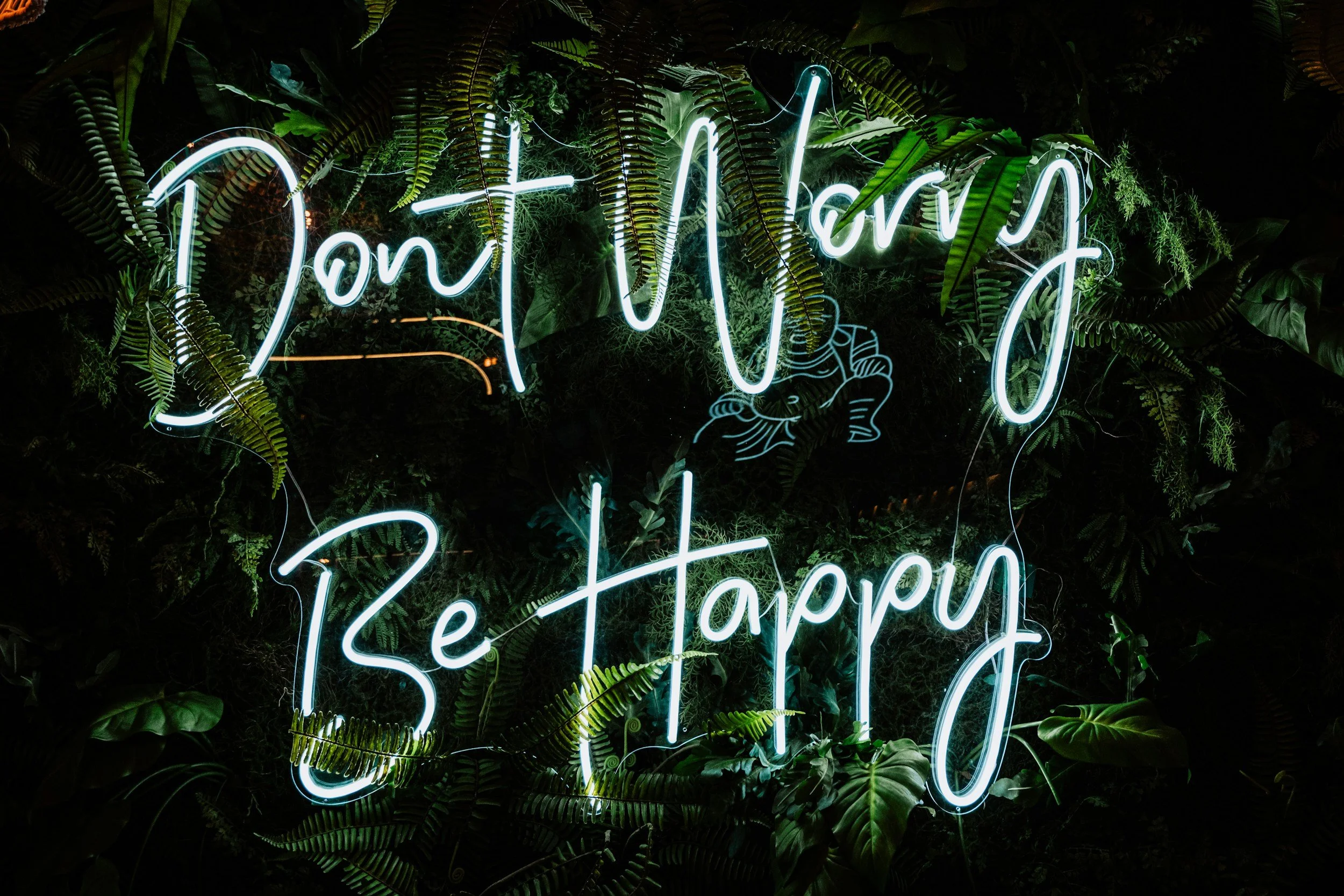 Do not worry about tomorrow…