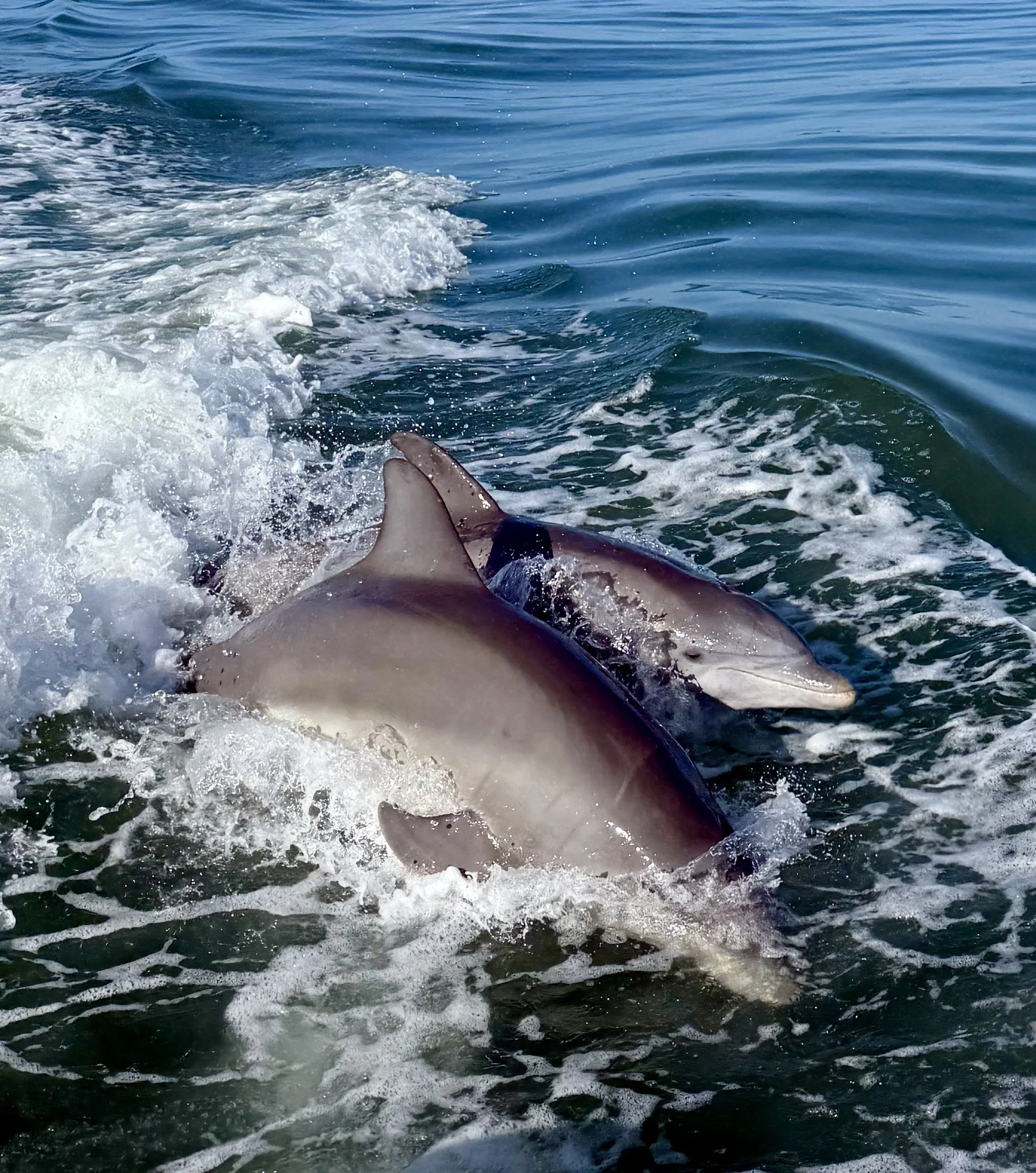 Rejoice and be glad in it…