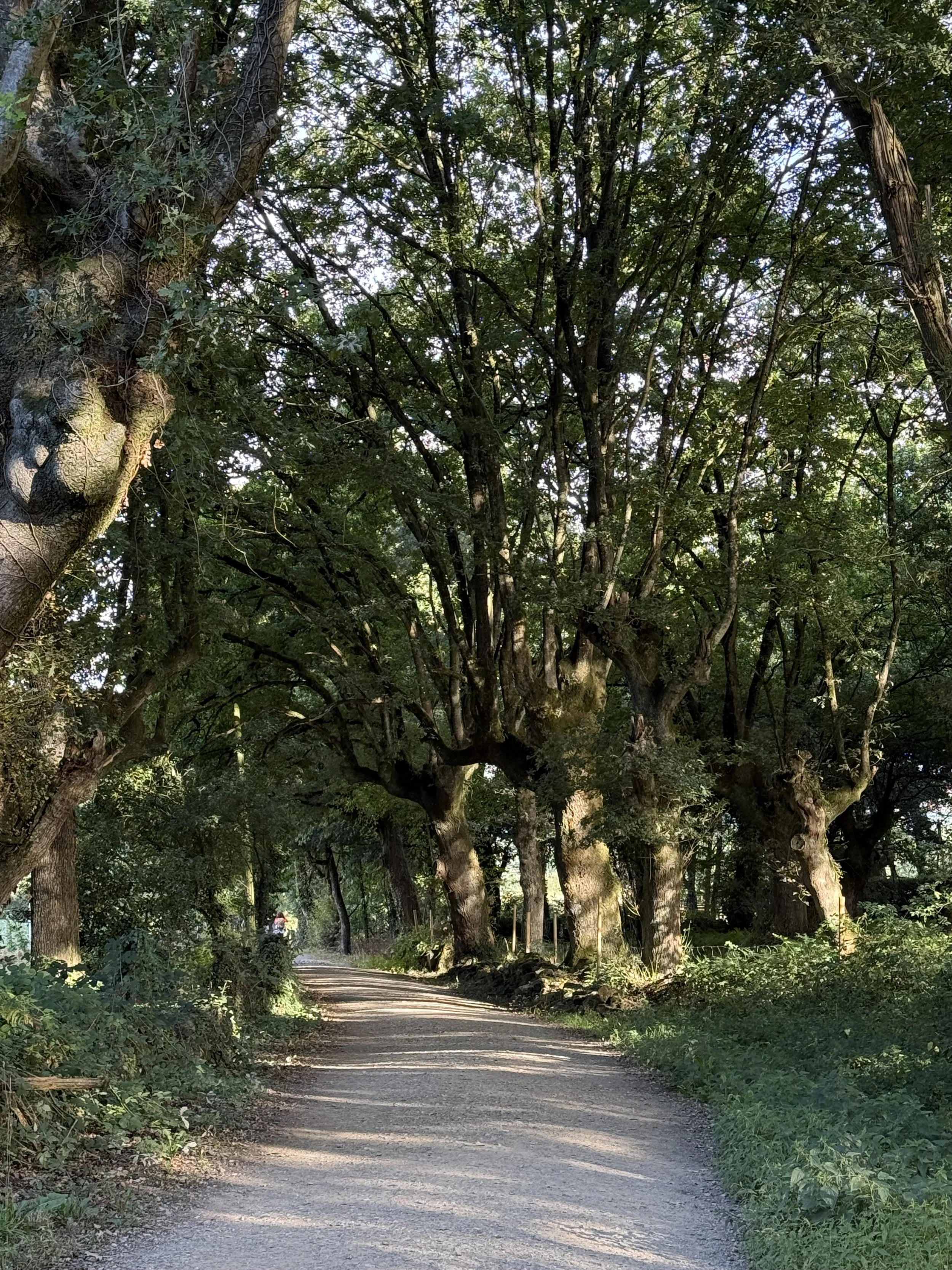 Hike the mile you are in…what’s an extra 1.7 miles?