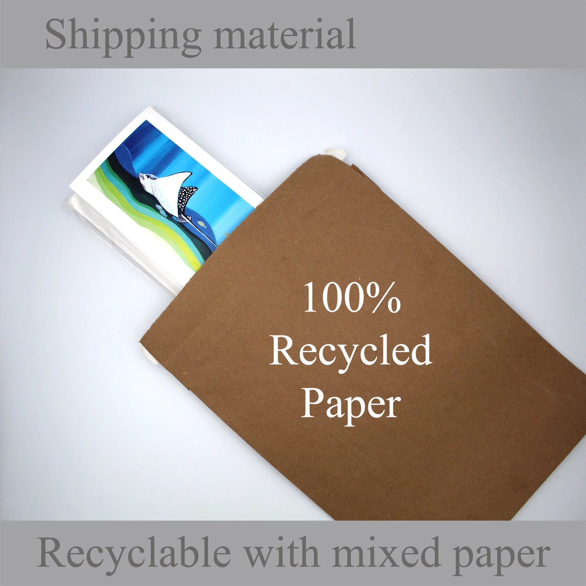 Eagle Ray package.jpg