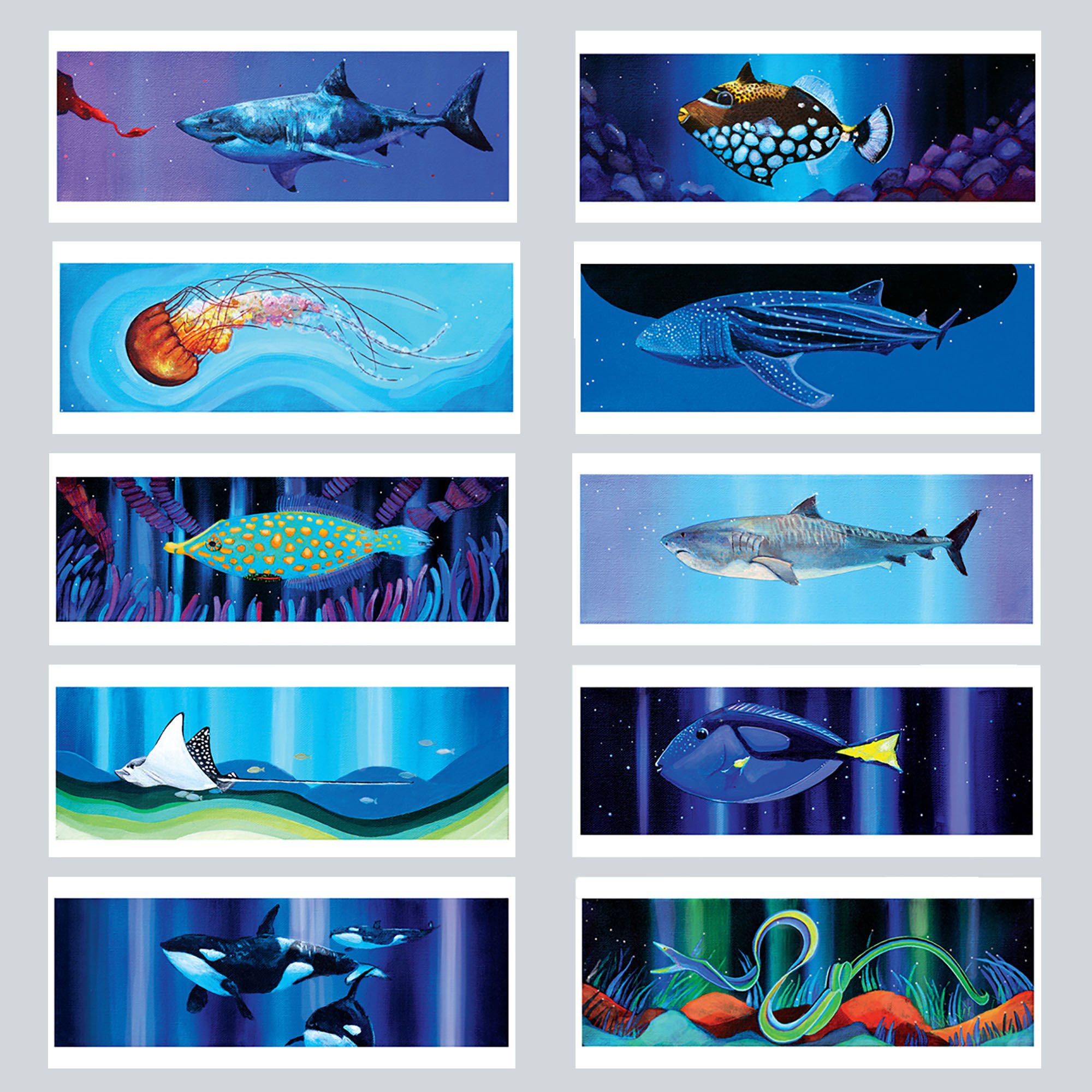 JessieMeehan_oceananimals_artcards_set.jpg