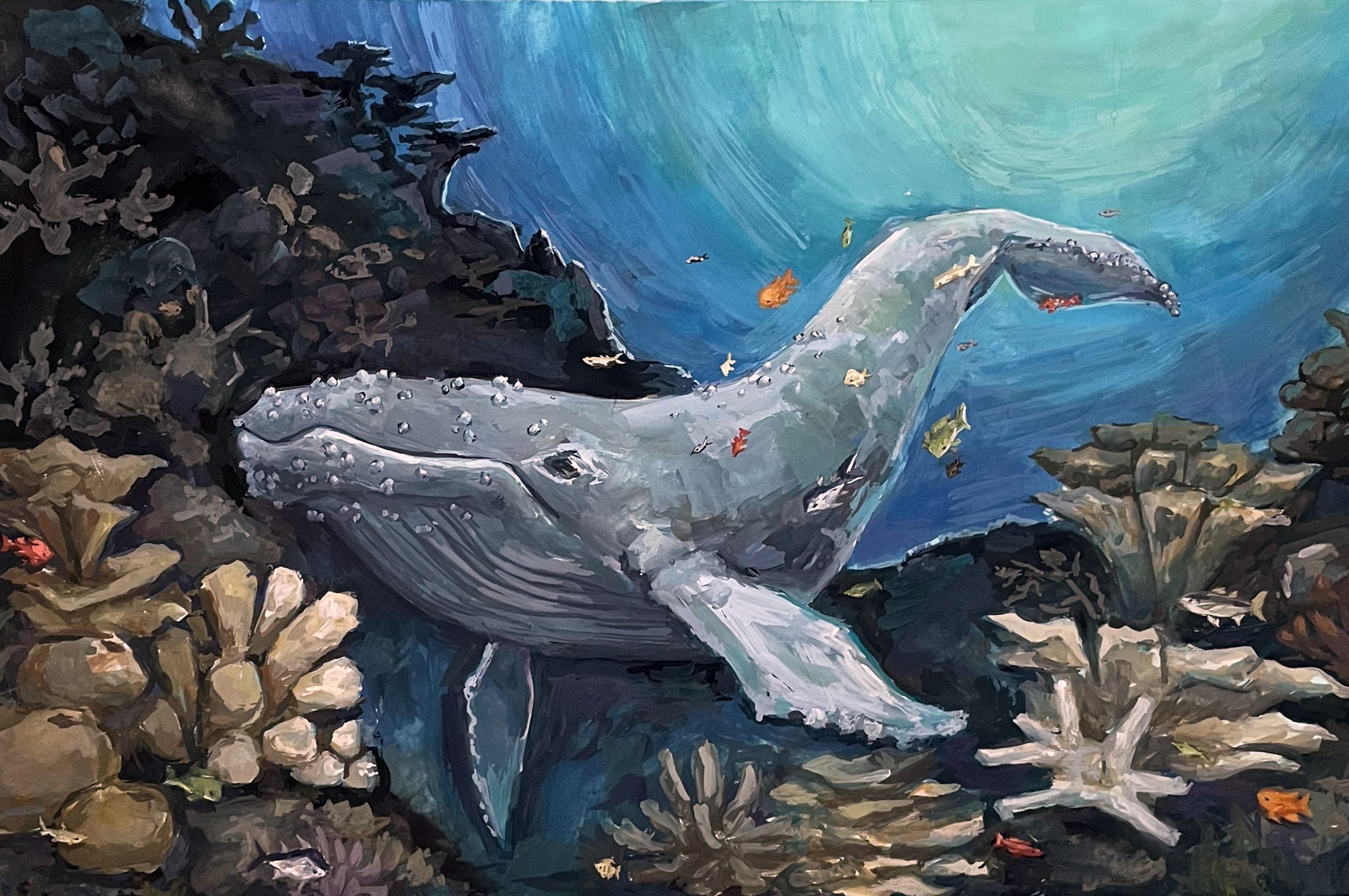 2025-10-18 12-17.jpeg