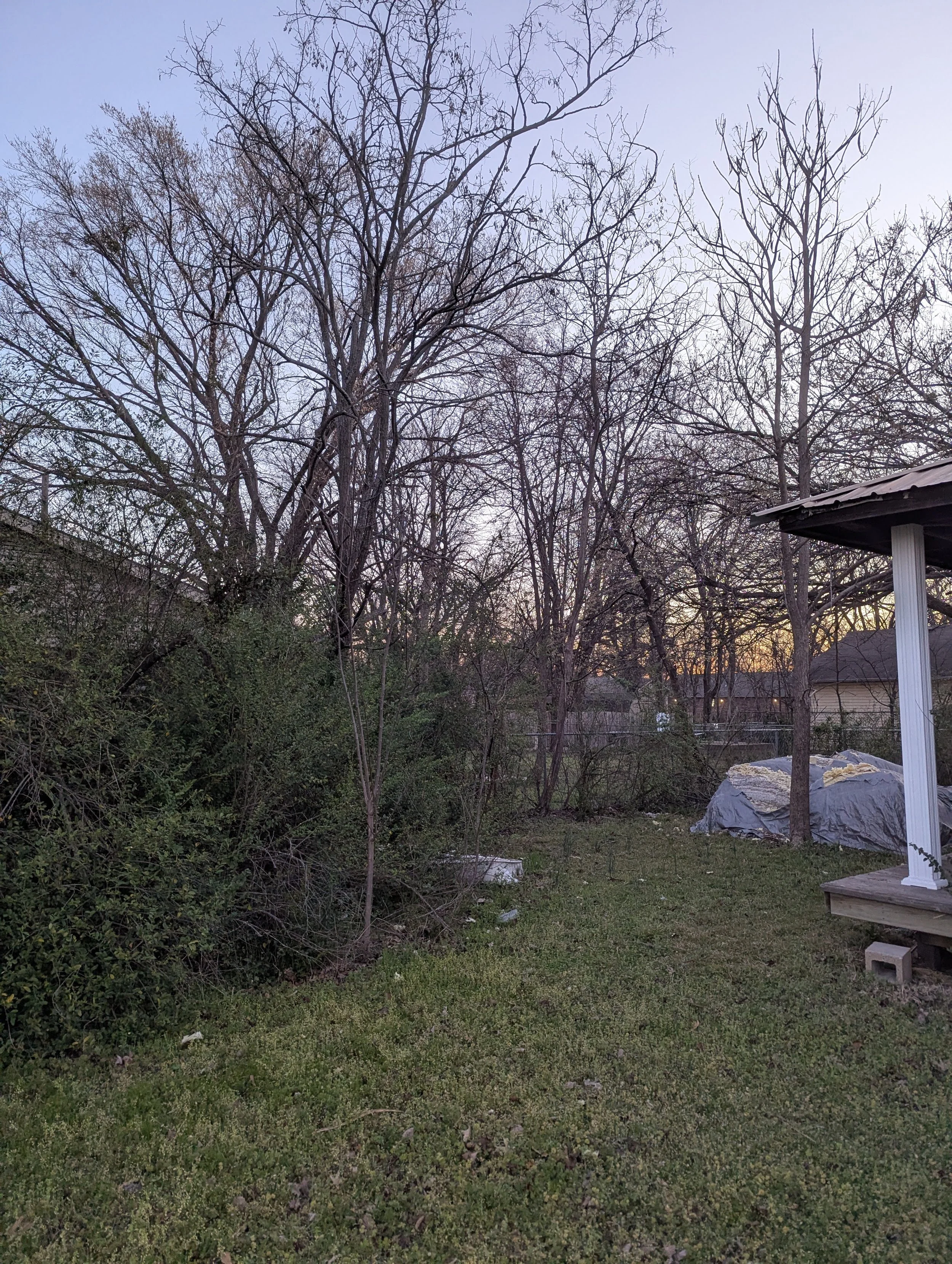 PXL_20260323_121616657.jpg