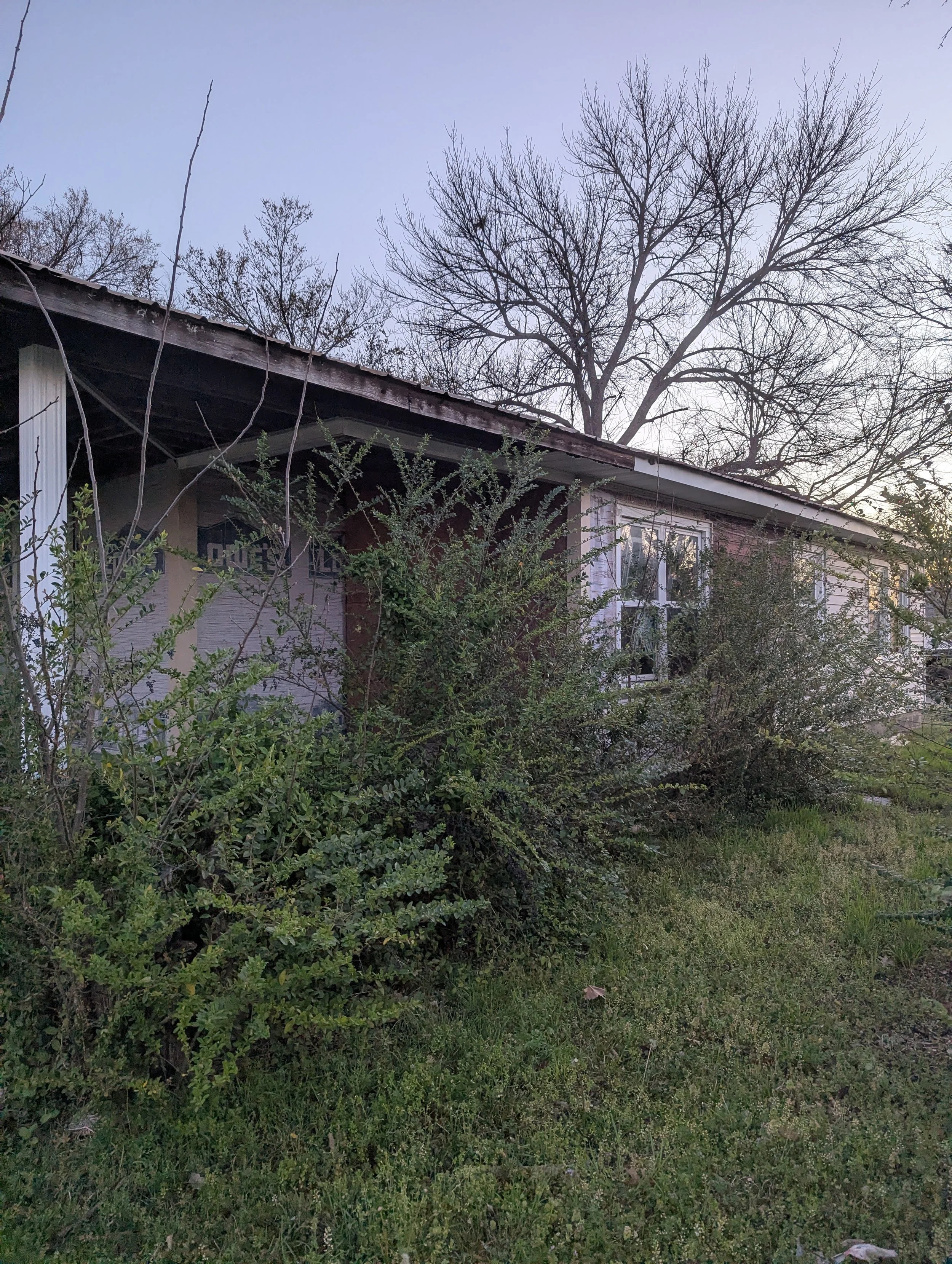 PXL_20260323_121657806.jpg