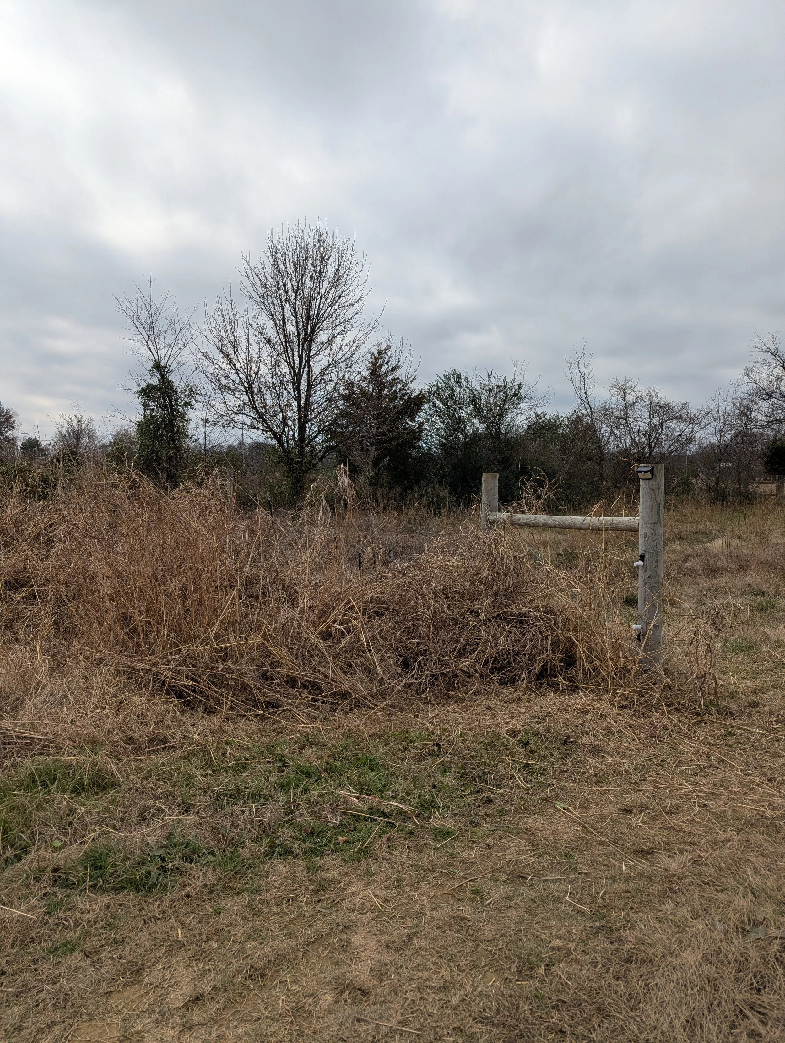 Before Fence Line Clearing - Claremore, OK