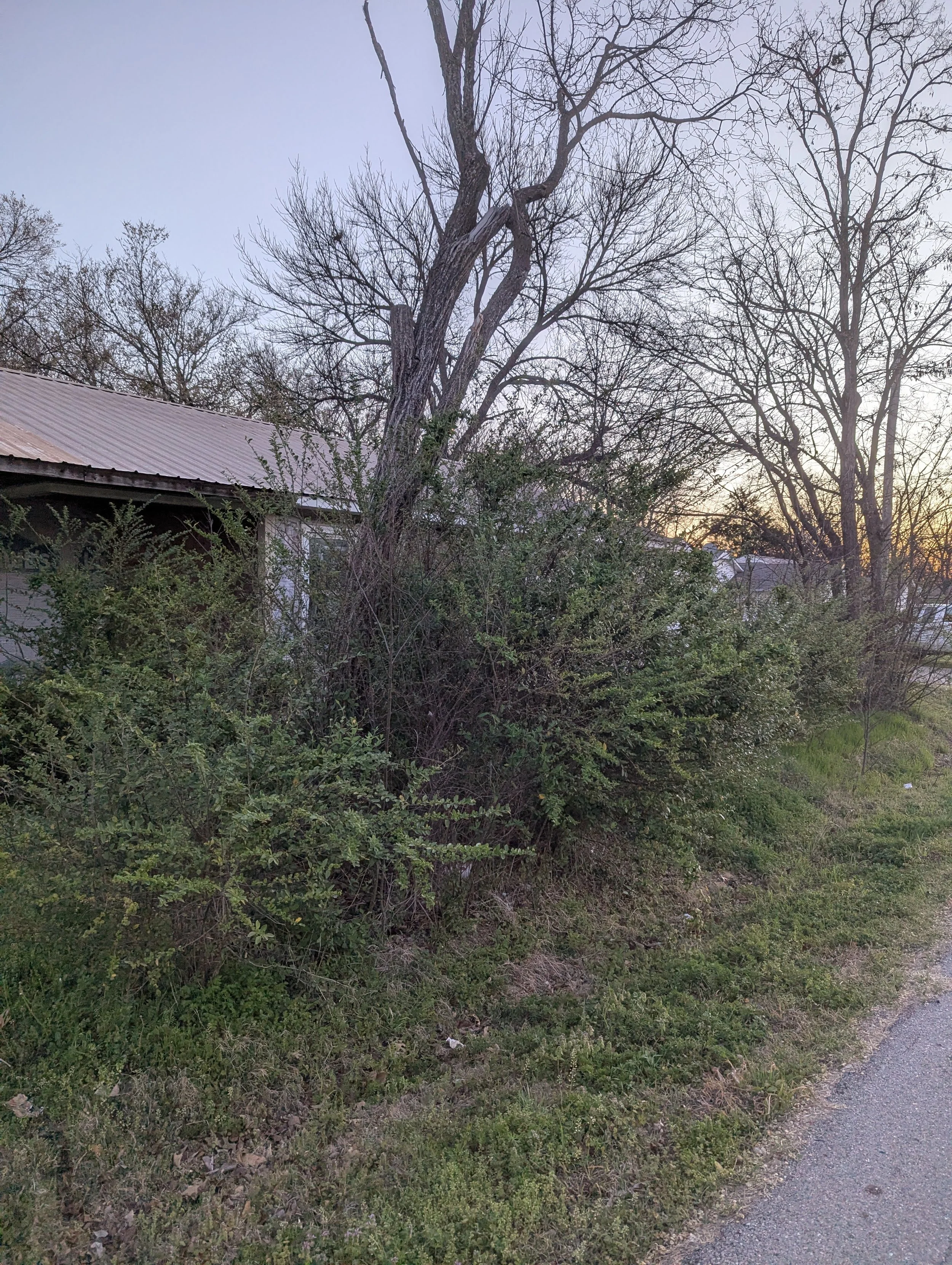 PXL_20260323_121707964.jpg