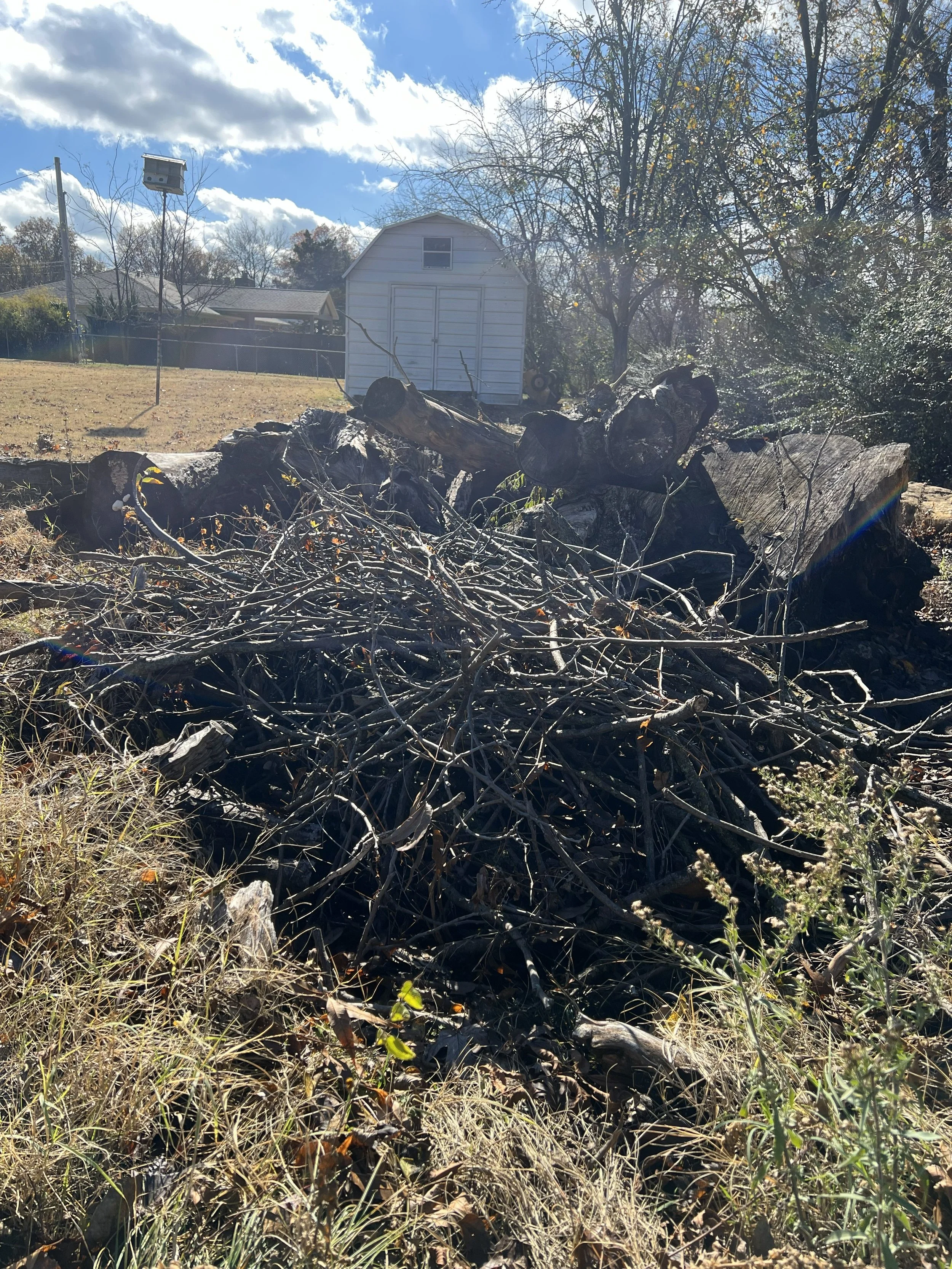 Before Brush Haul Off - Claremore, OK