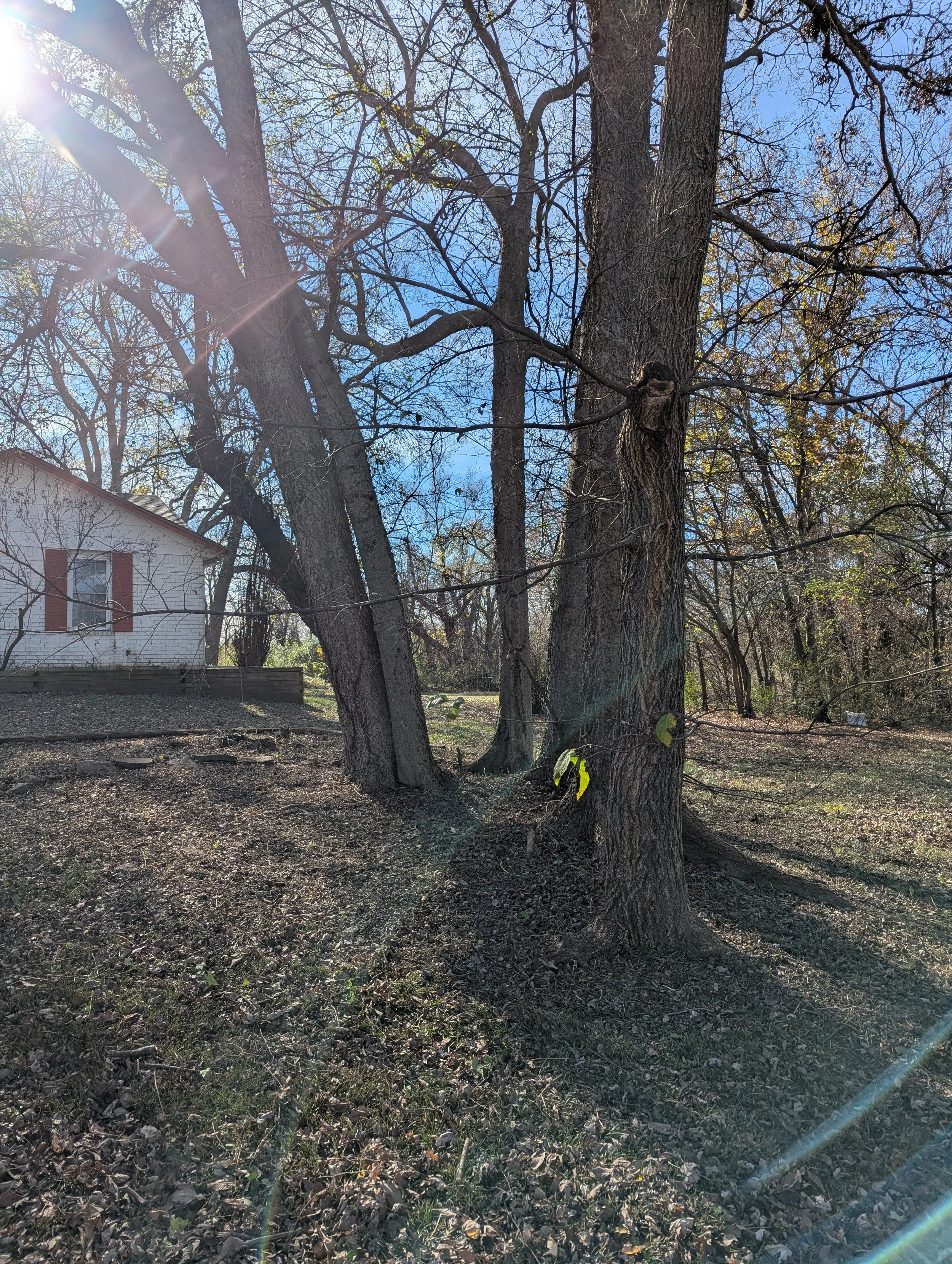 After Brush Clearing - Claremore, OK