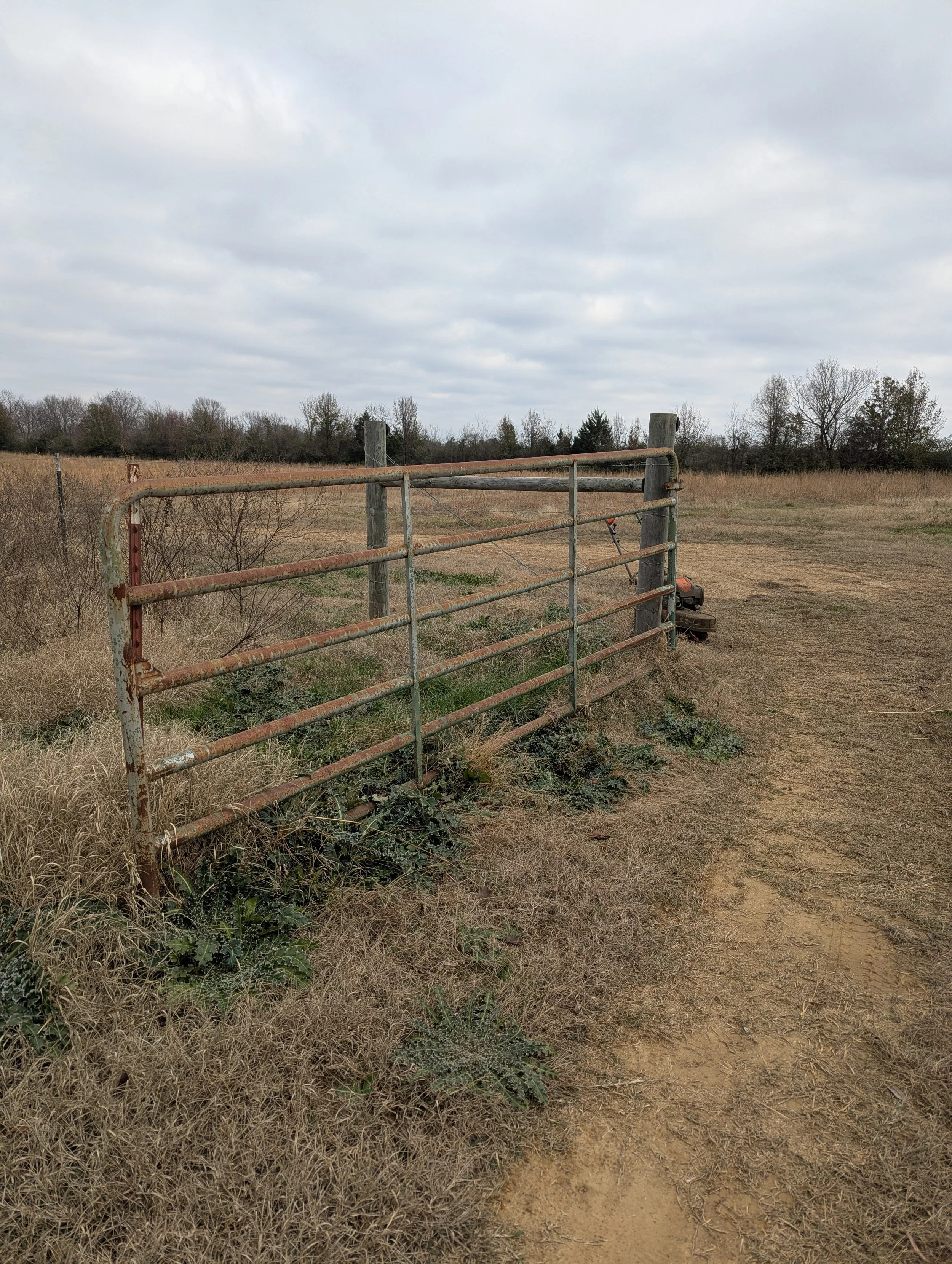 Before Fence Line Clearing - Claremore, OK