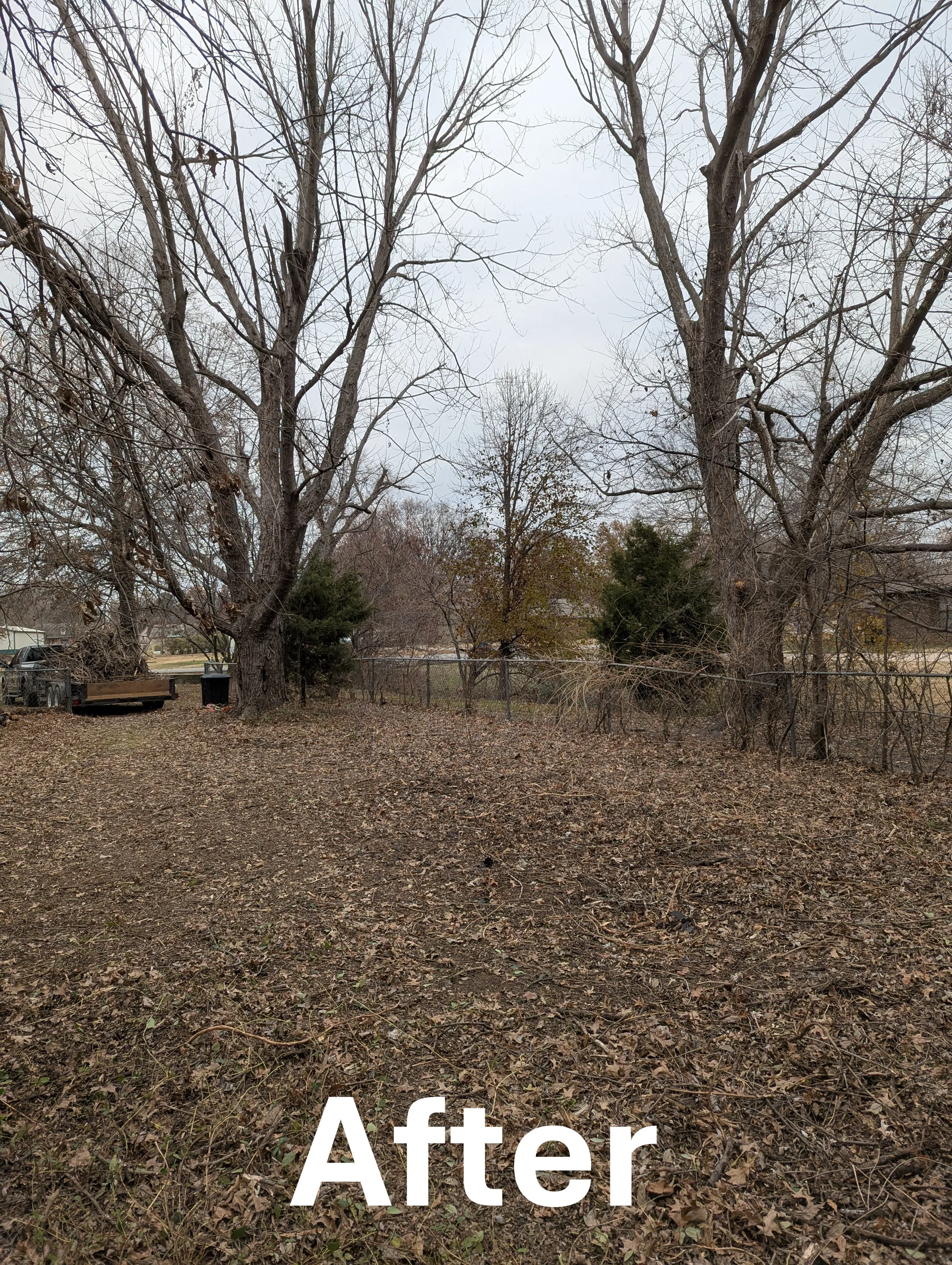Backyard Reclamation - Brush Hauling project Owasso, OK