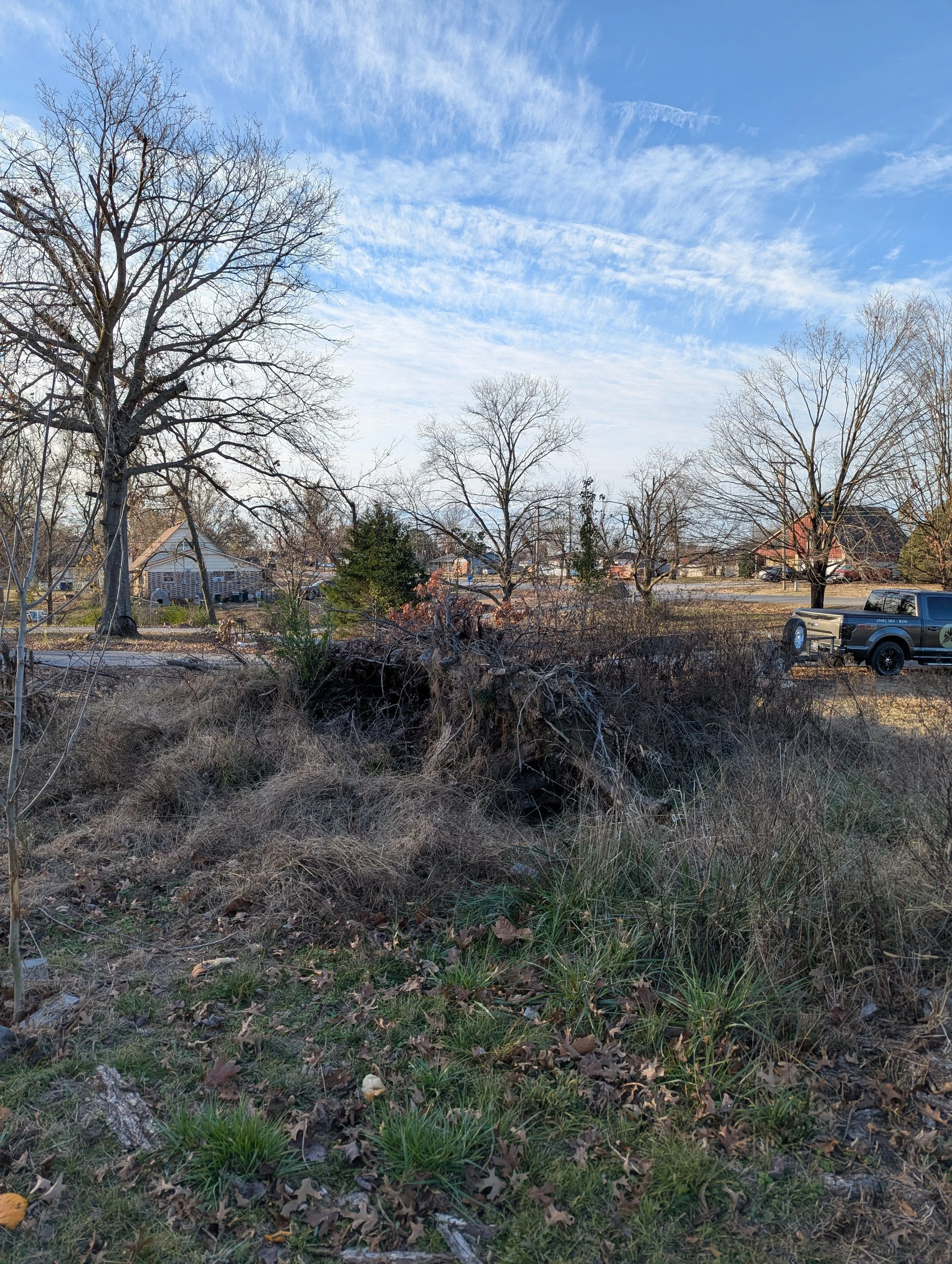 Before Brush Haul Off - Claremore, OK