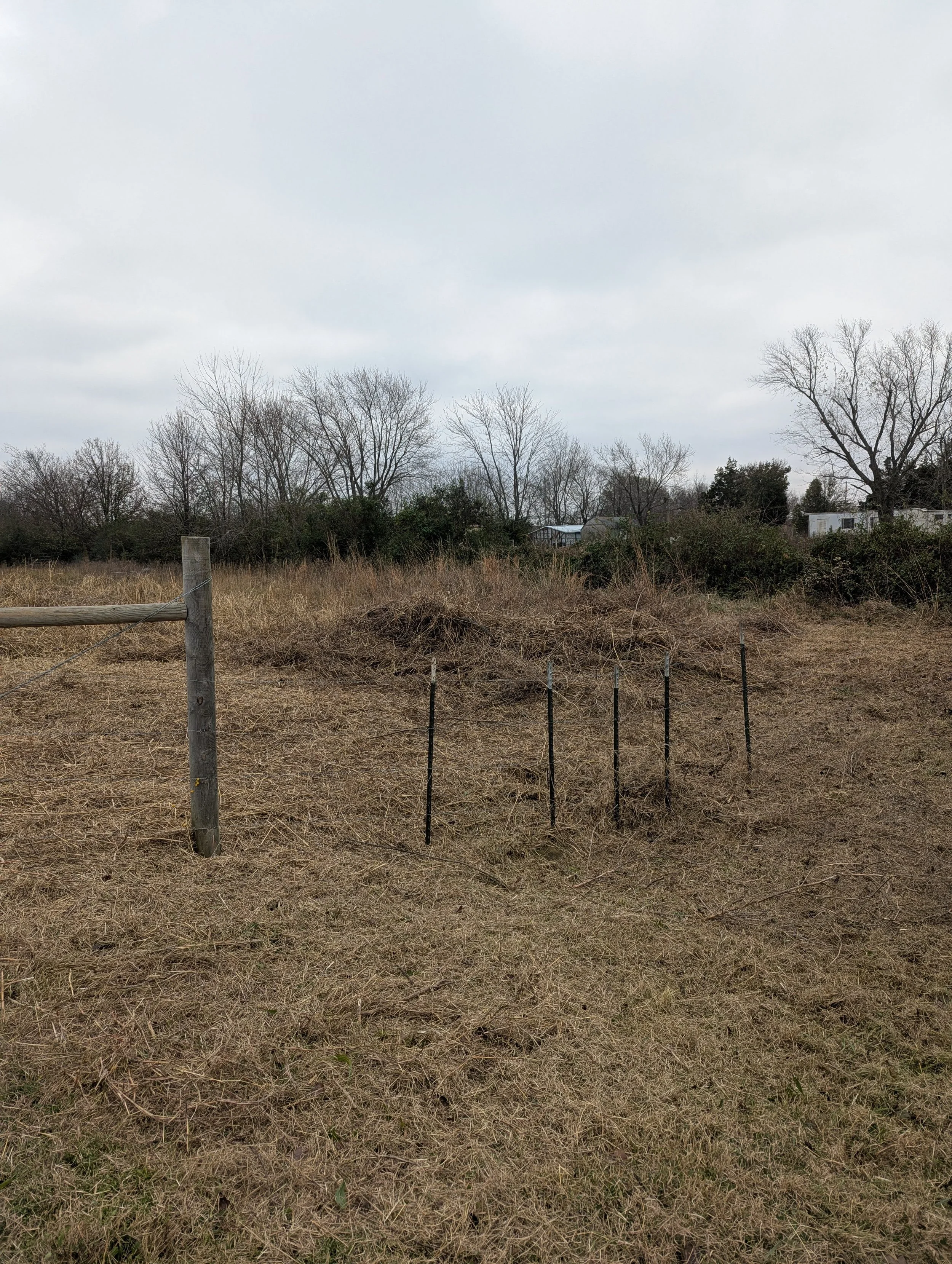 After fence line clearing - Claremore, OK