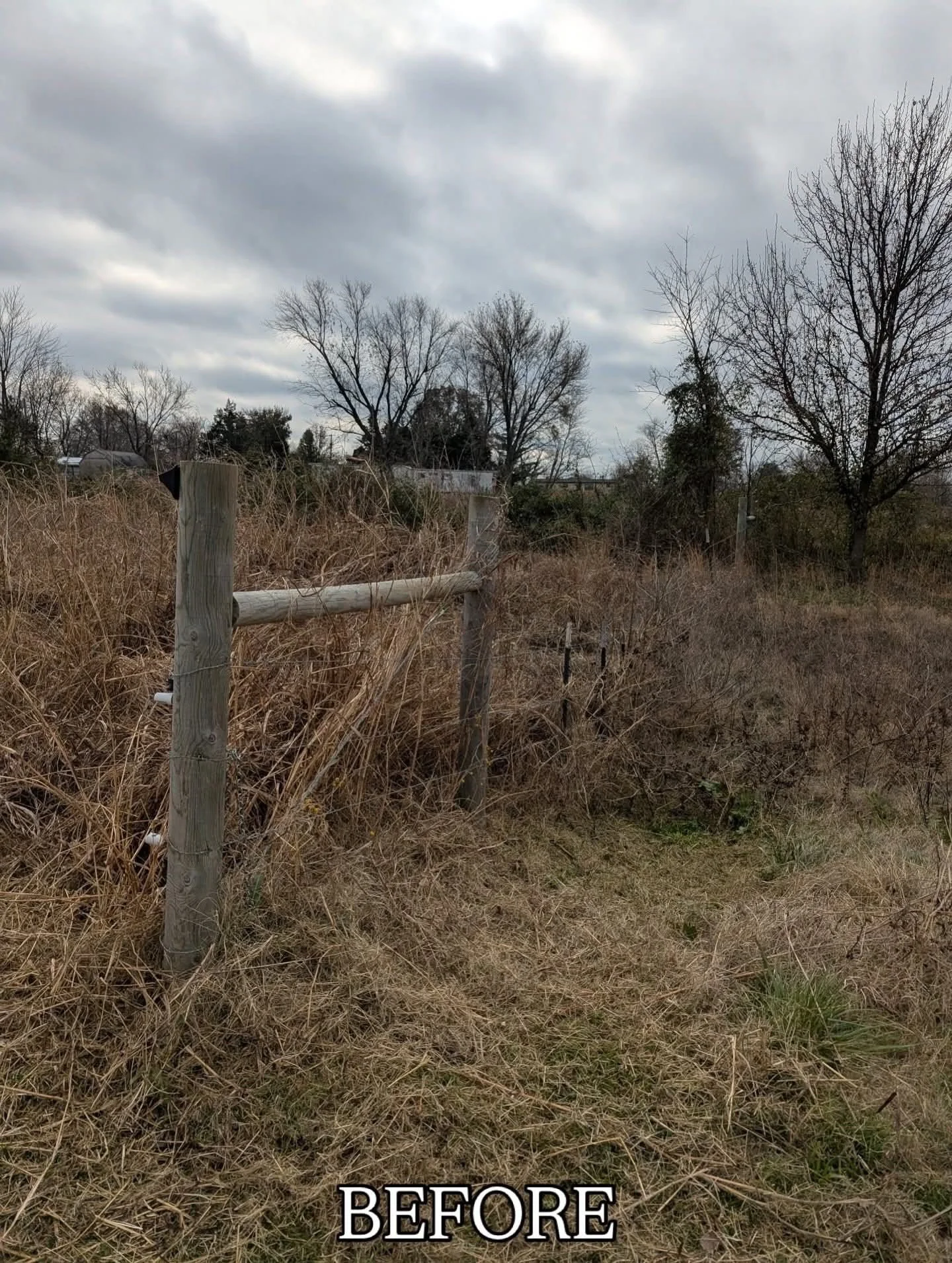 Before Fence line clearing - Claremore, OK