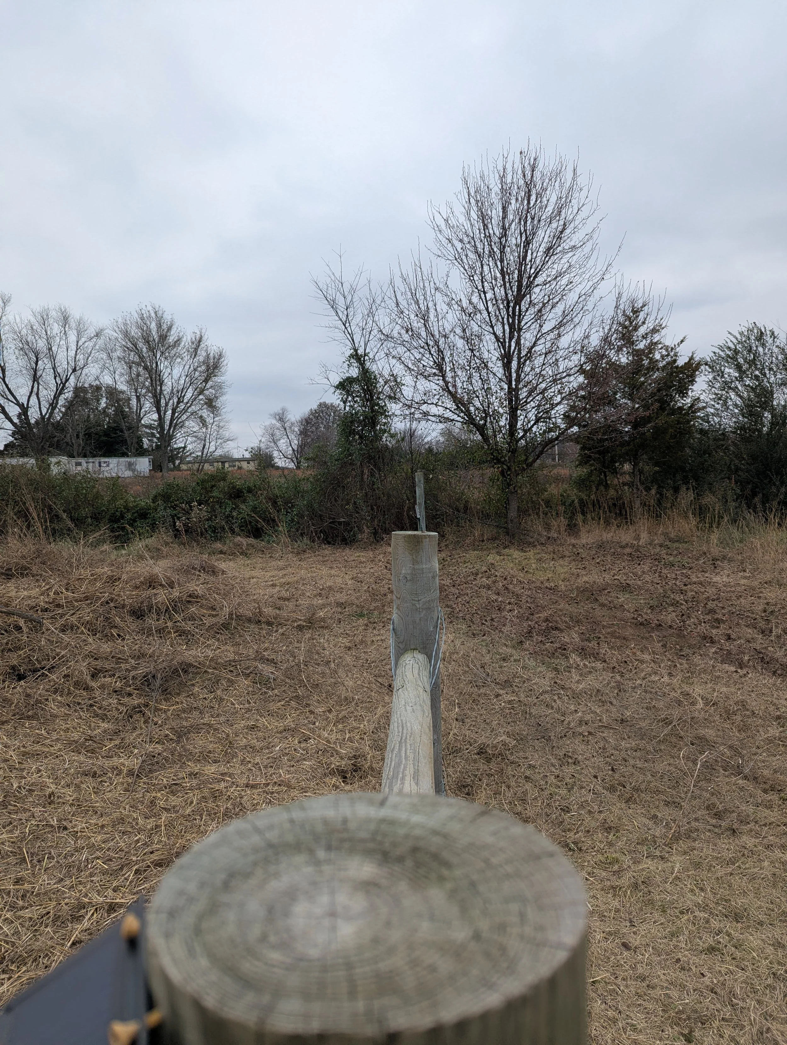 After Fence Line Clearing - Claremore, OK