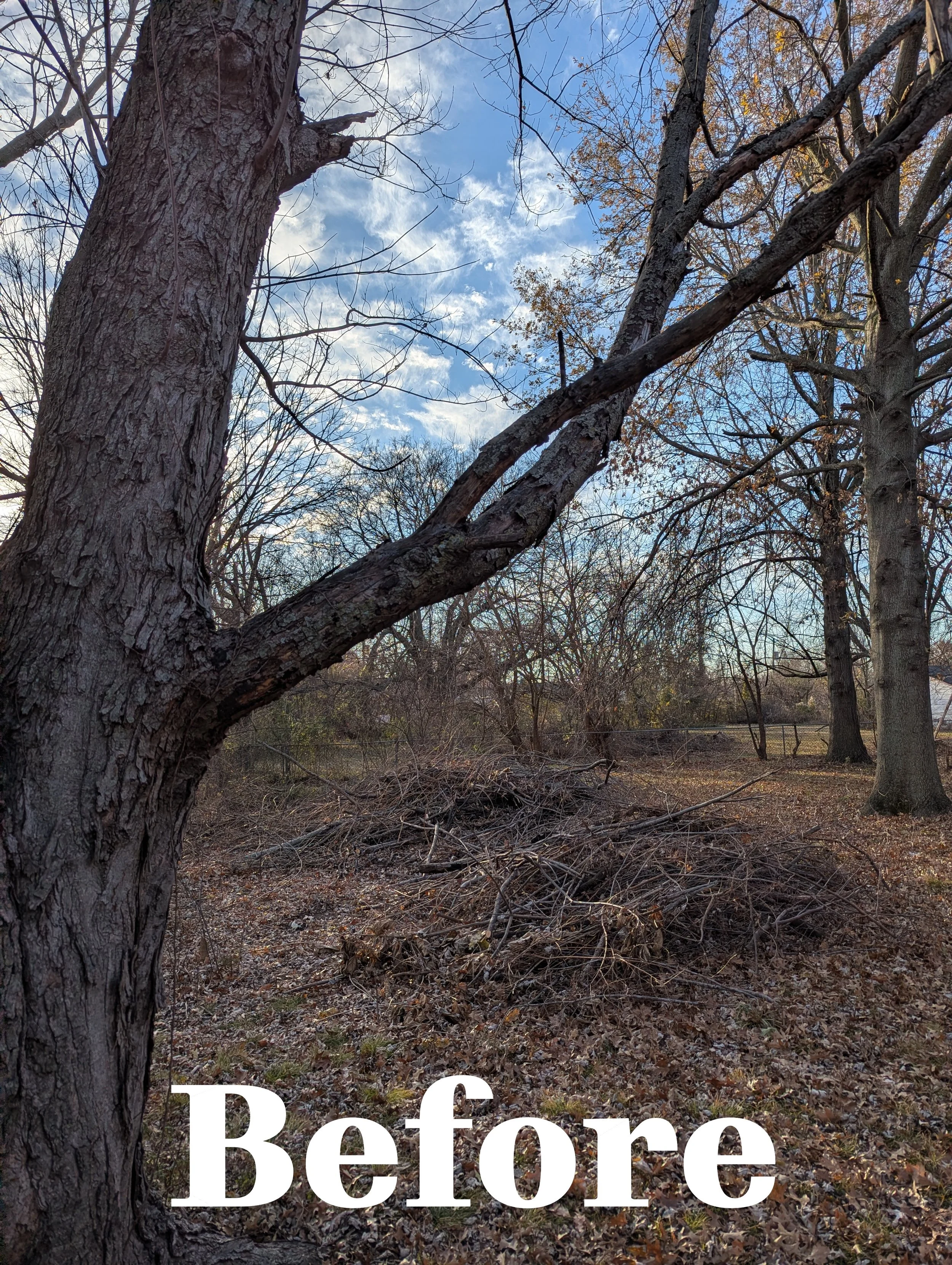 Backyard Reclamation - Brush Hauling project Owasso, OK