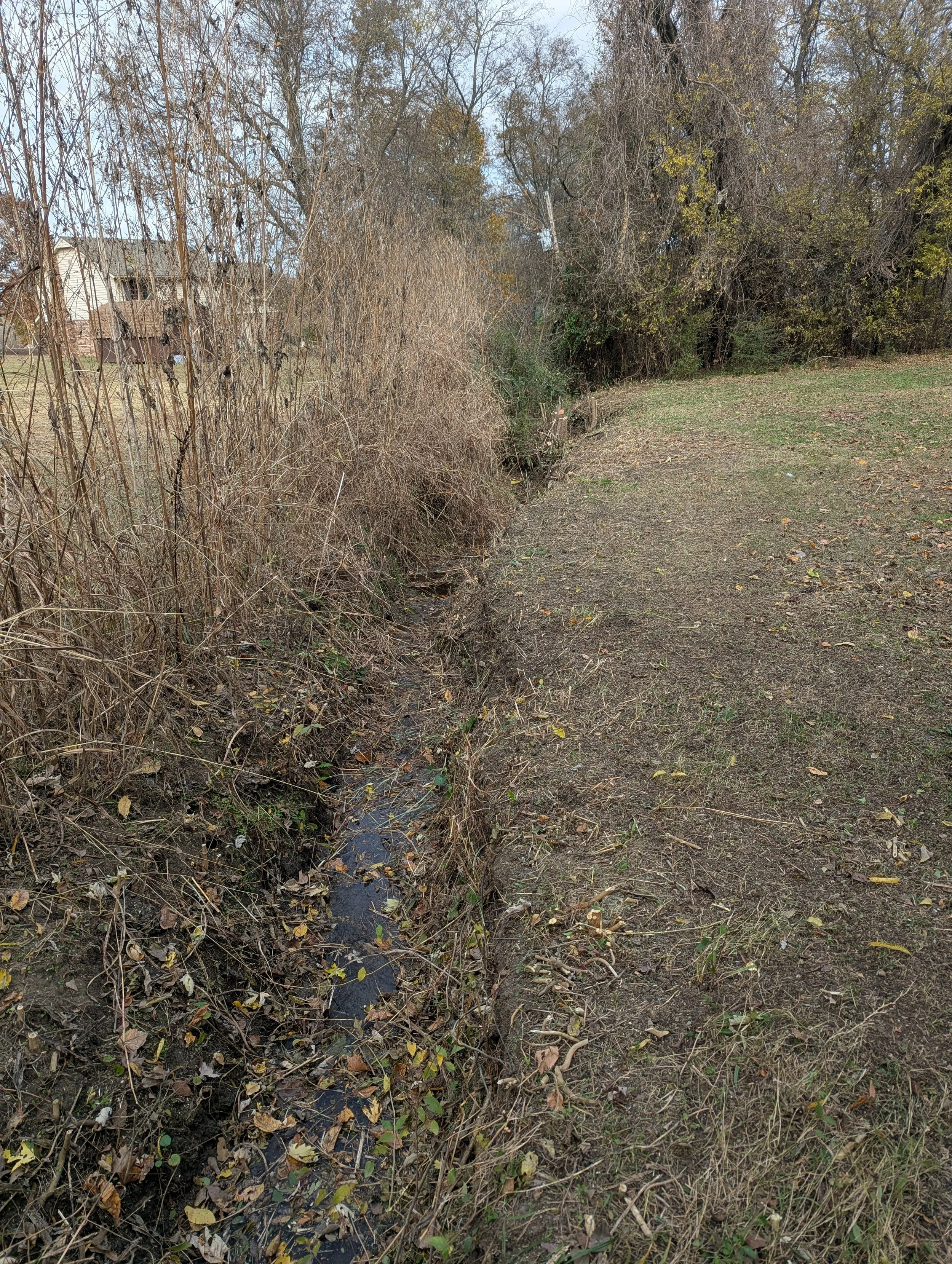 After brush clearing - Claremore, OK