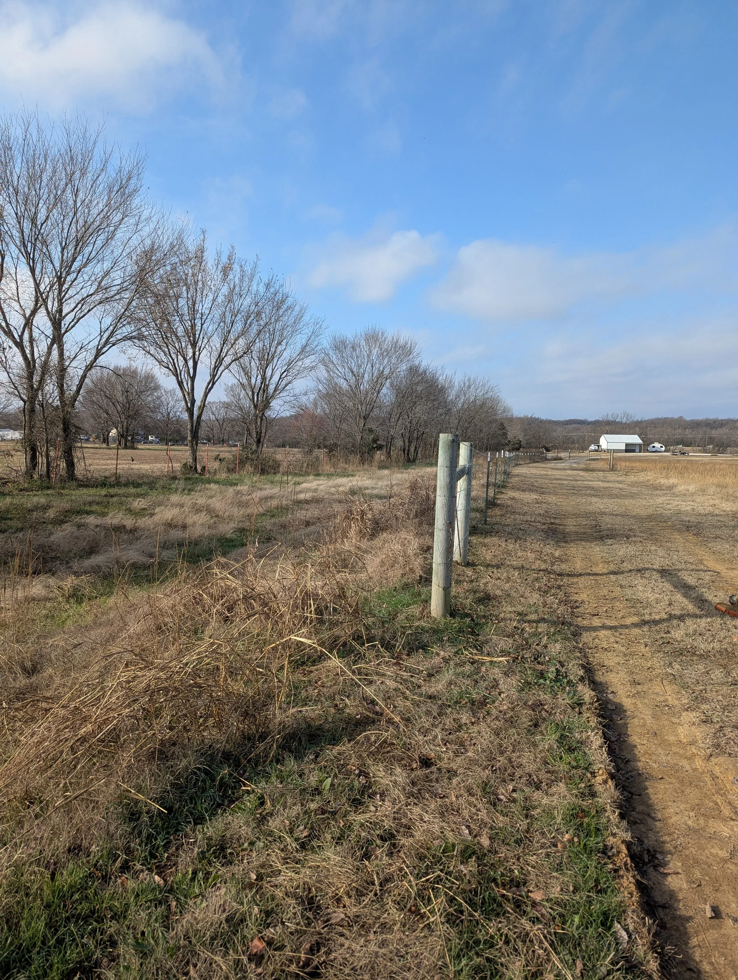 Before Fence Line Clearing - Claremore, OK