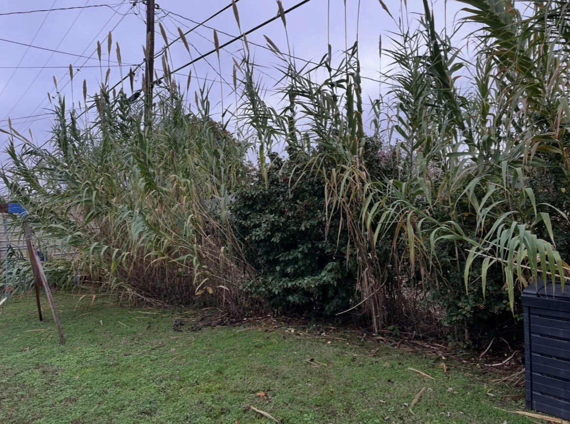 Before Fence Line Clearing - Tulsa, OK