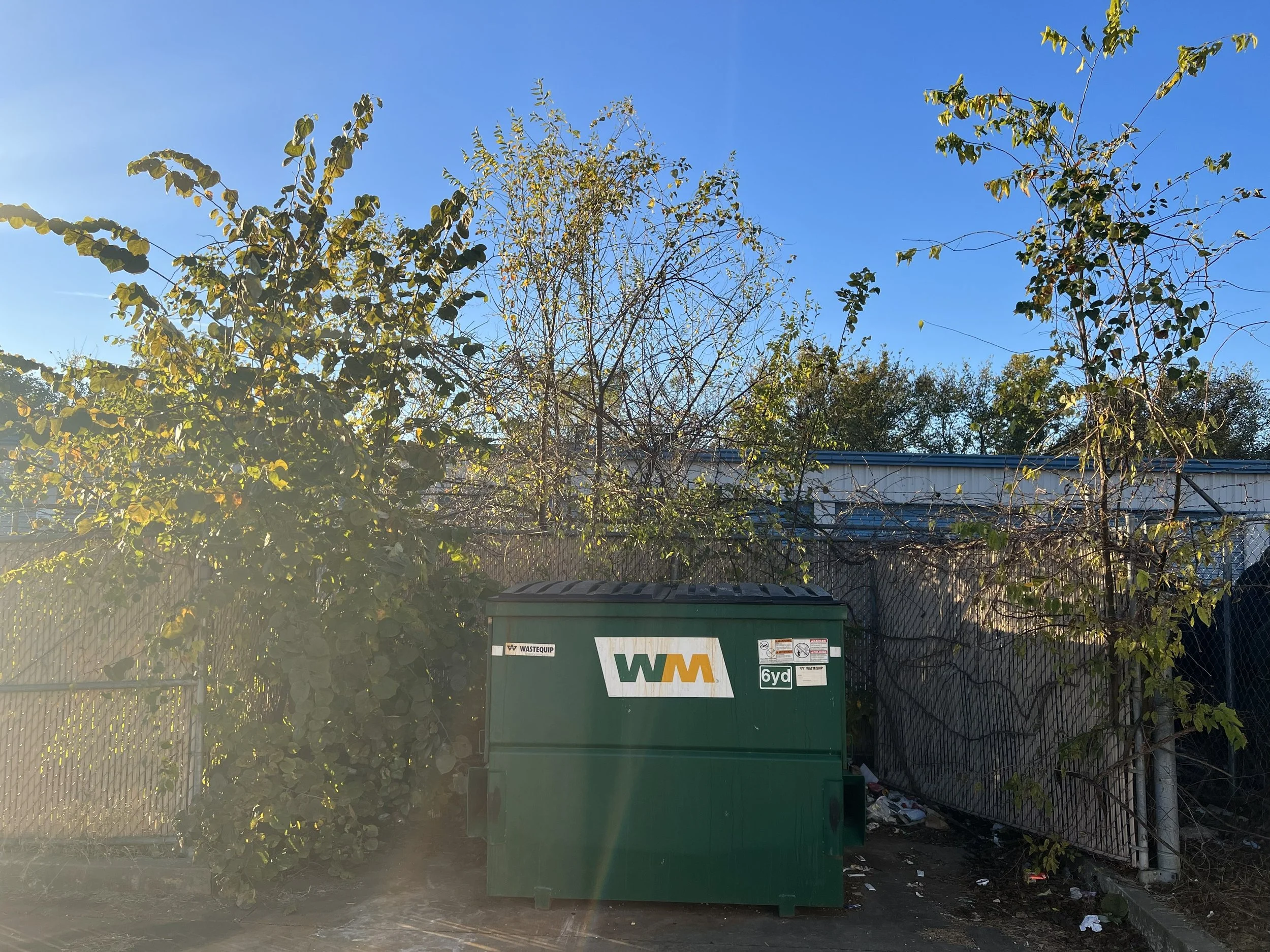 Before Brush & Fence Line Clearing - Claremore, OK