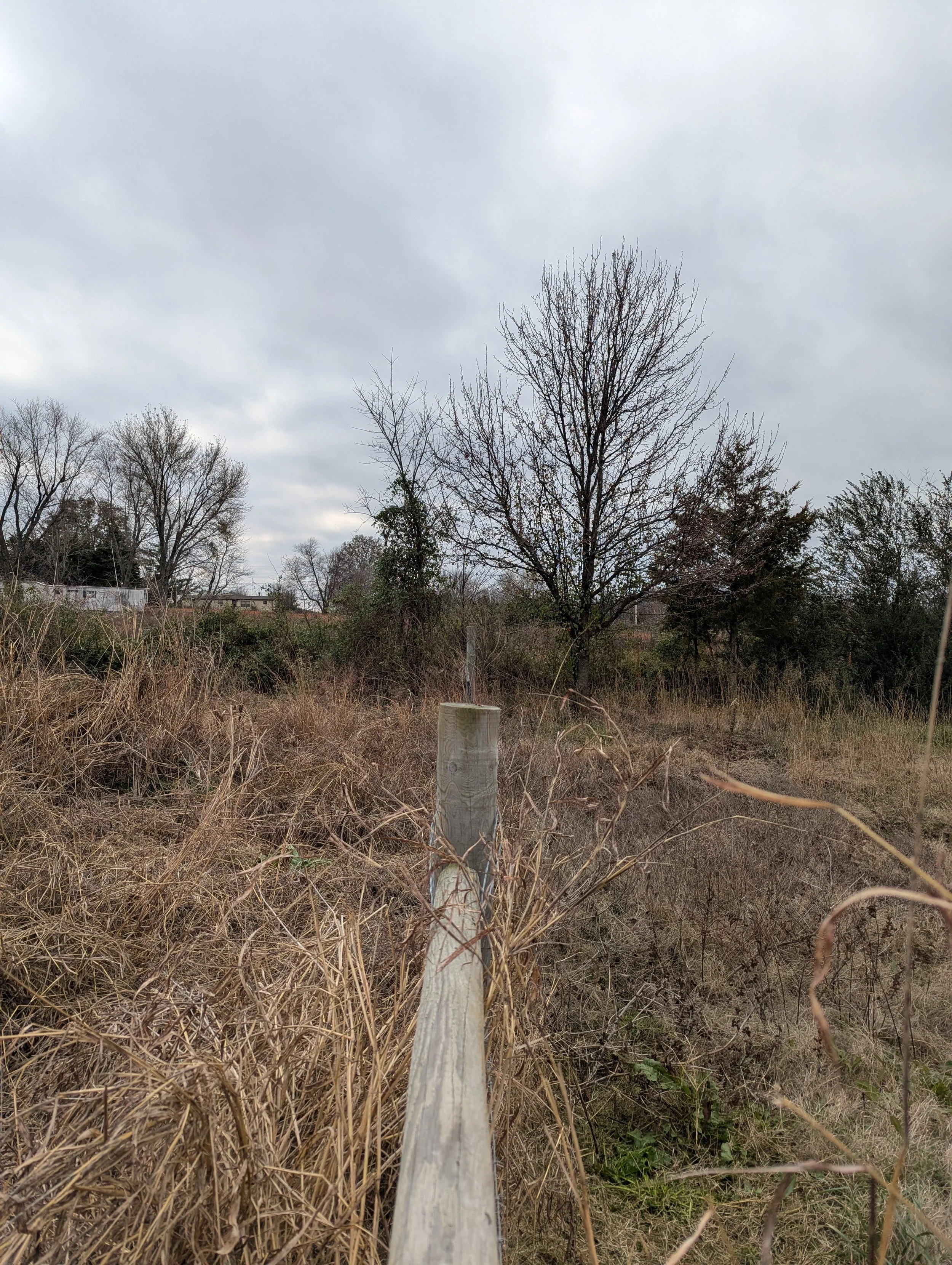 Before Fence Line Clearing - Claremore, OK