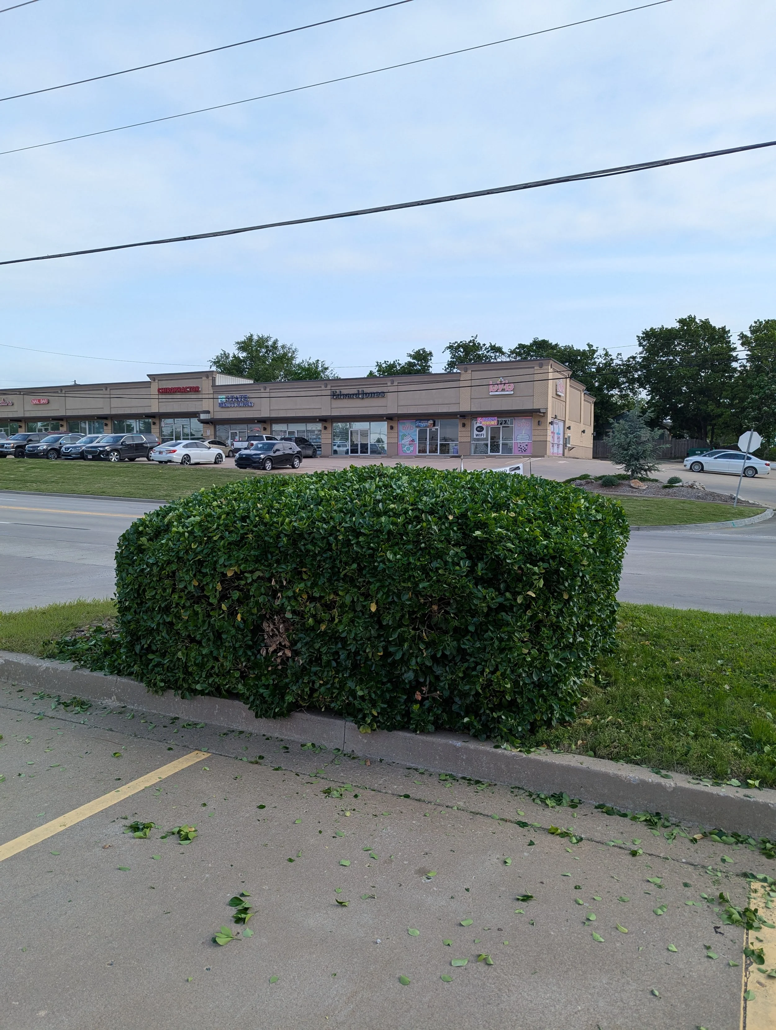 PXL_20260428_141145723.jpg