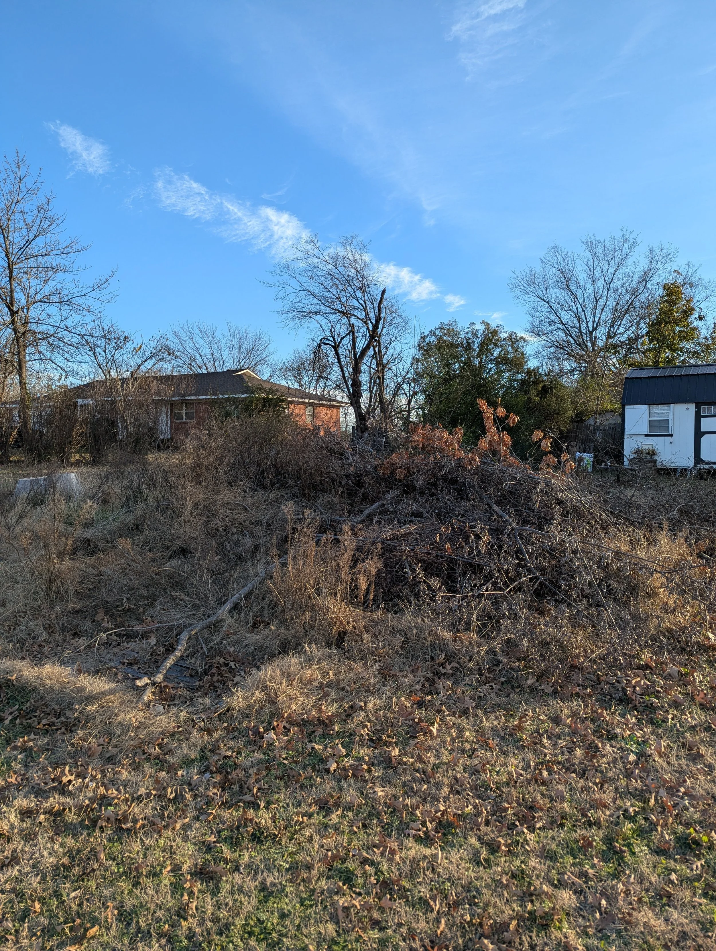Before Brush Haul Off - Claremore, OK