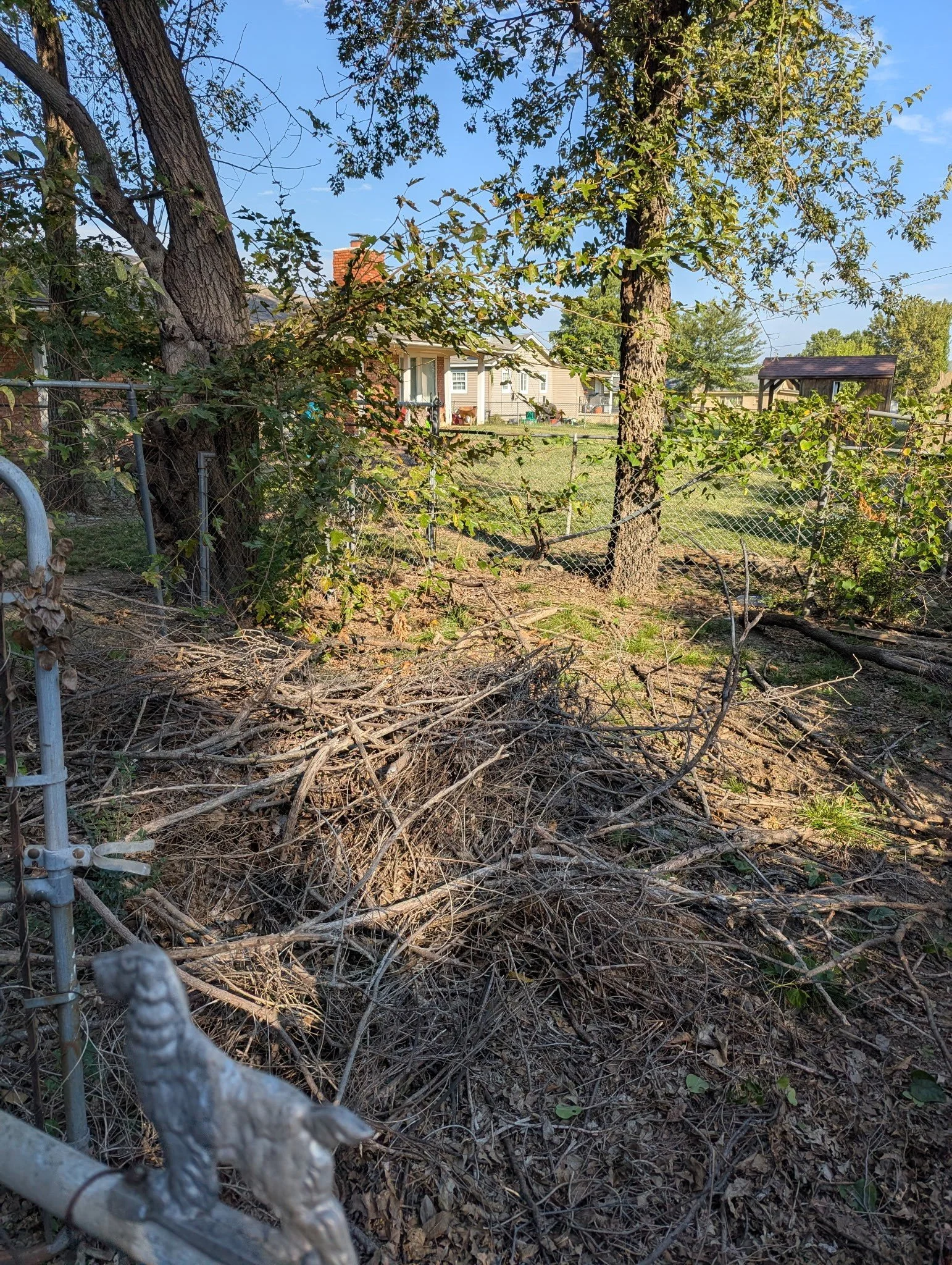 Before Brush Haul Off - Tulsa, OK