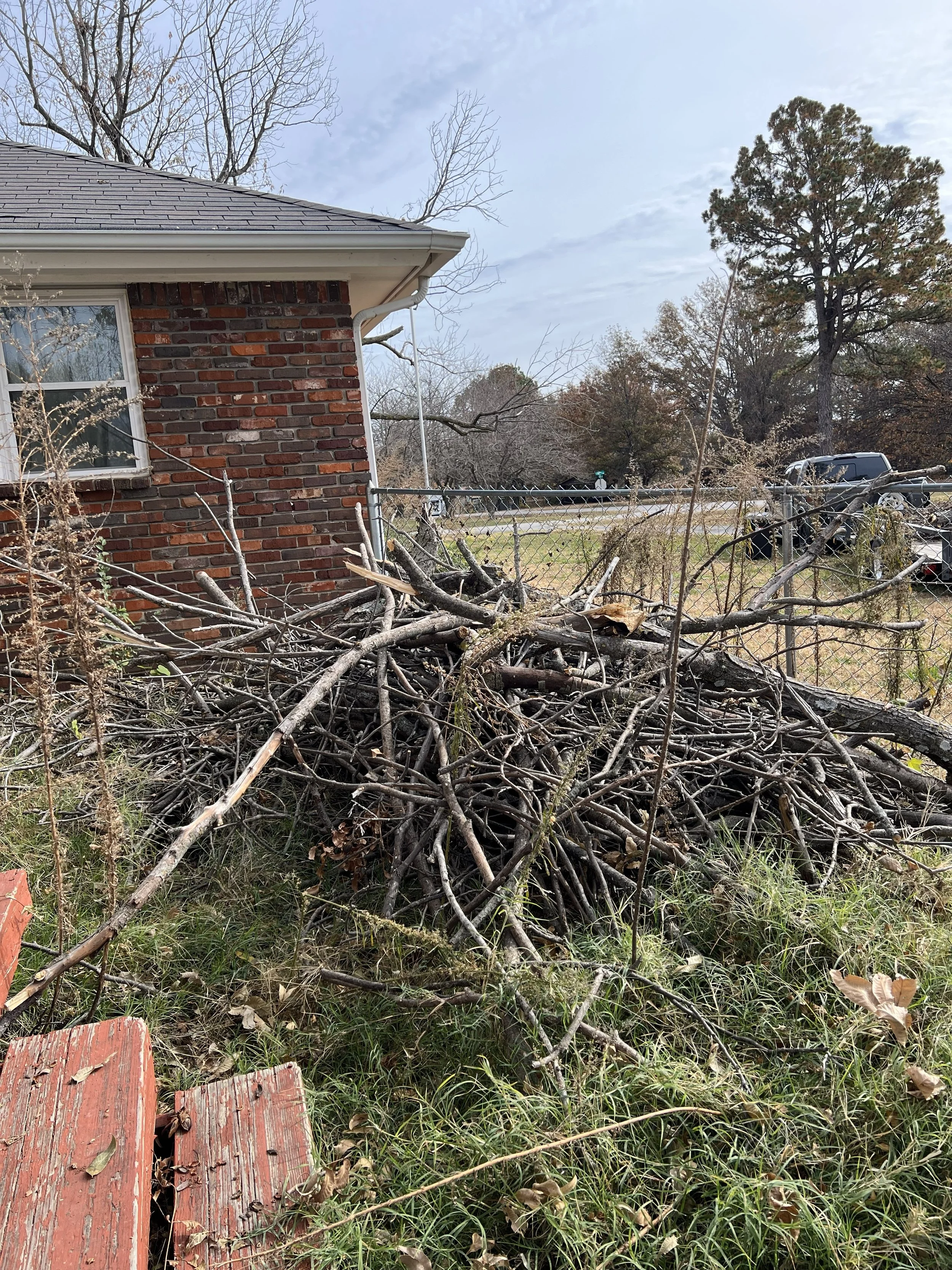 Before Brush Haul Off - Owasso, OK