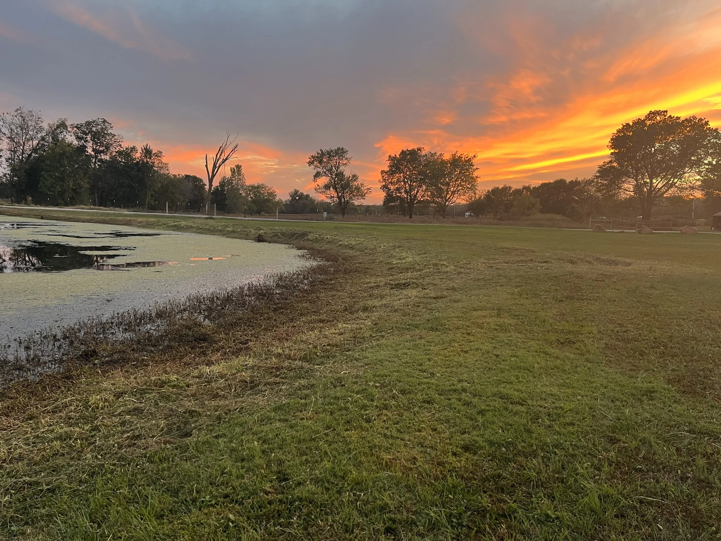 After Brush Clearing - Tulsa, OK