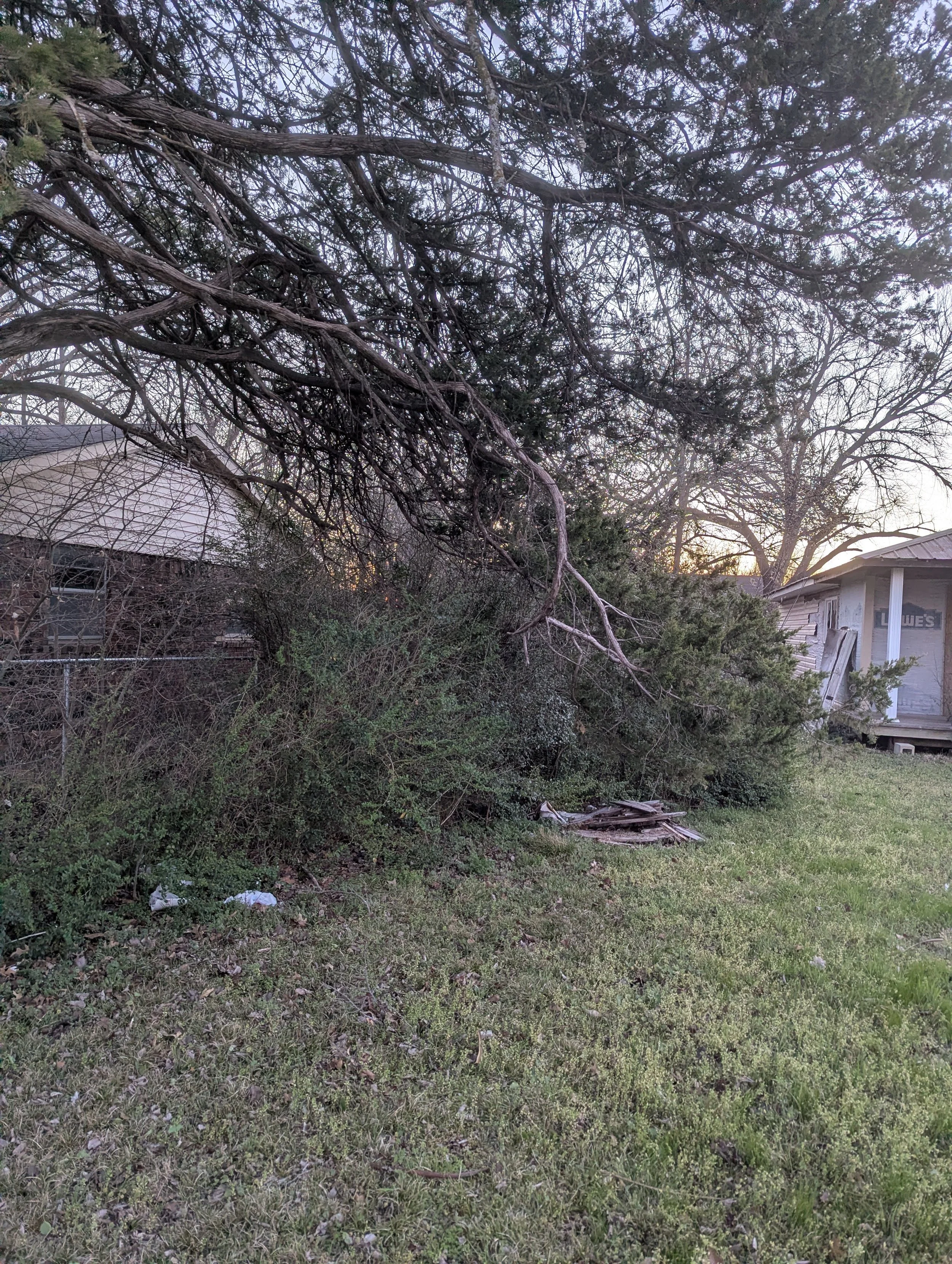 PXL_20260323_121604827.jpg