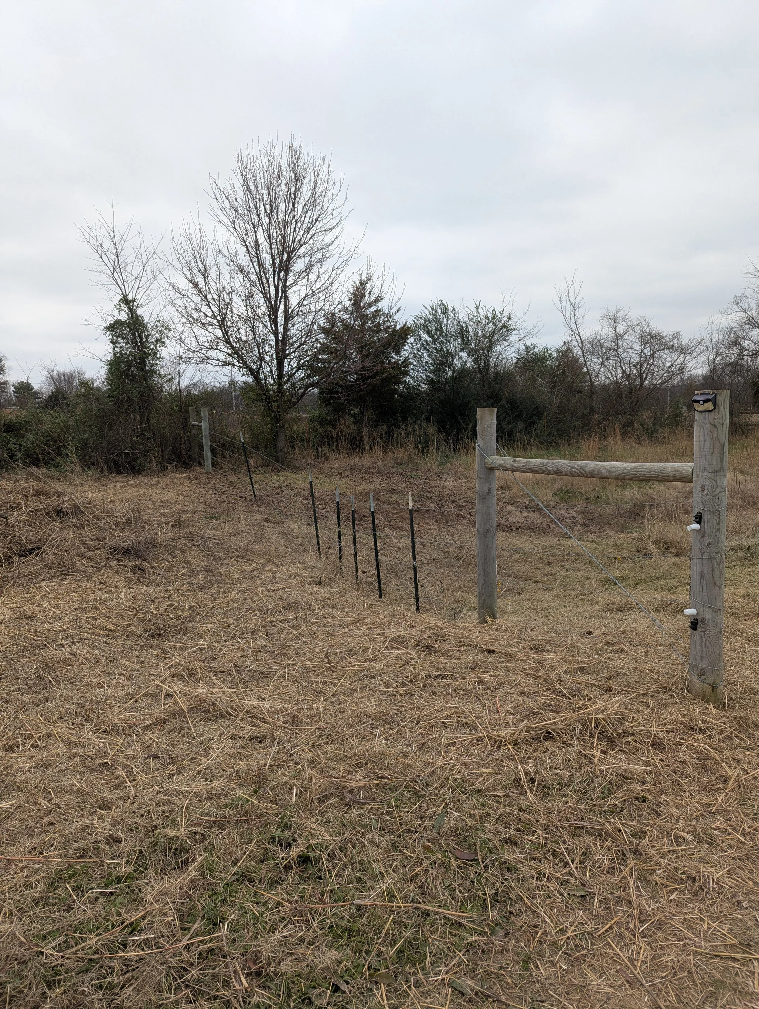 After Fence Line Clearing - Claremore, OK