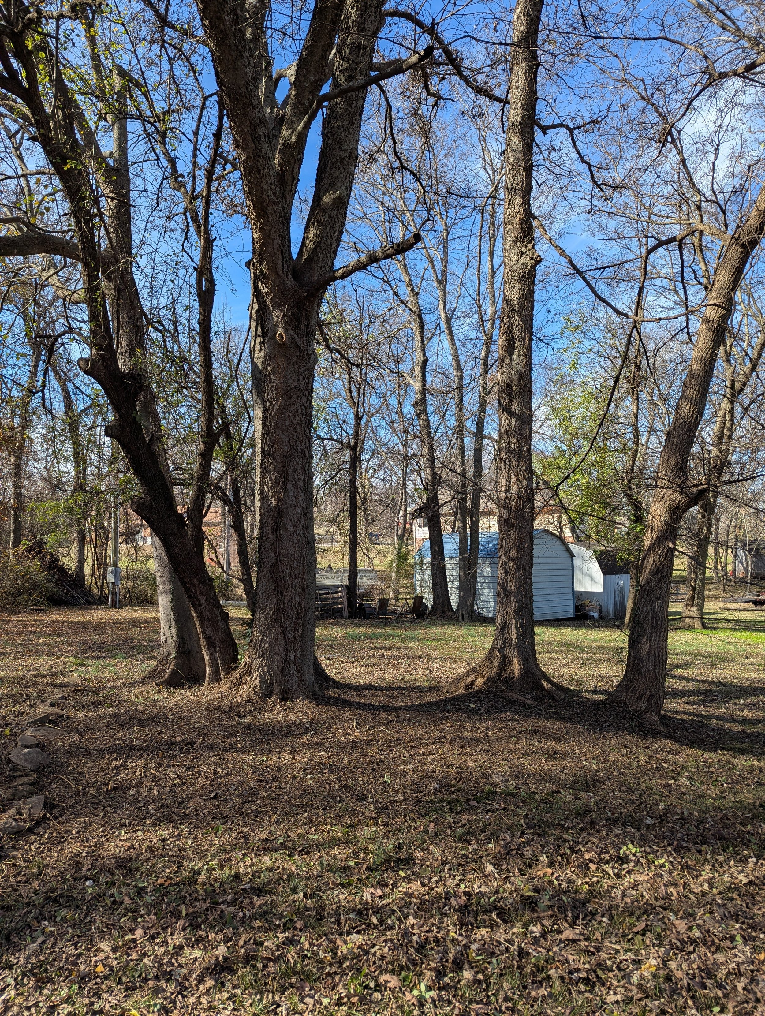 After Brush Clearing - Claremore, OK