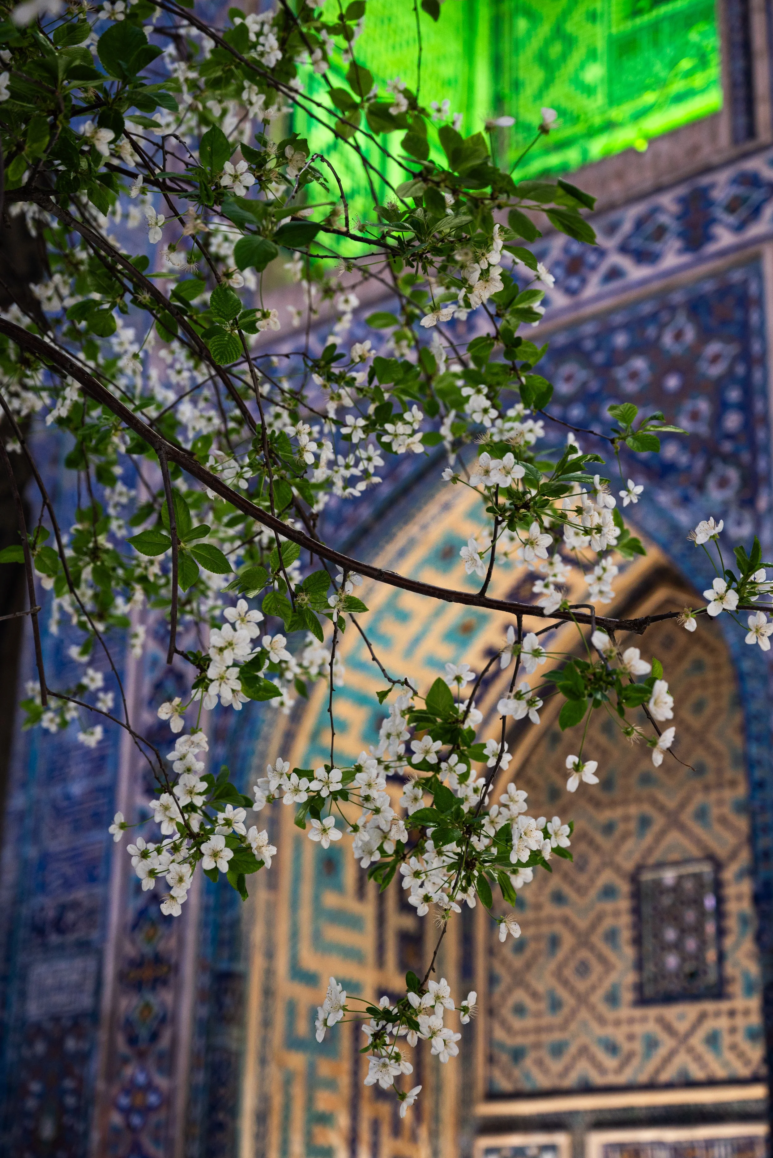 Samarkand, Uzbekistan
