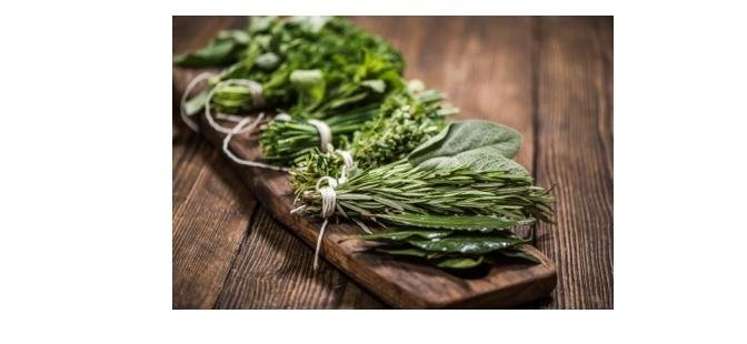 Herbal  Support for Arthritis & Mobility Issues