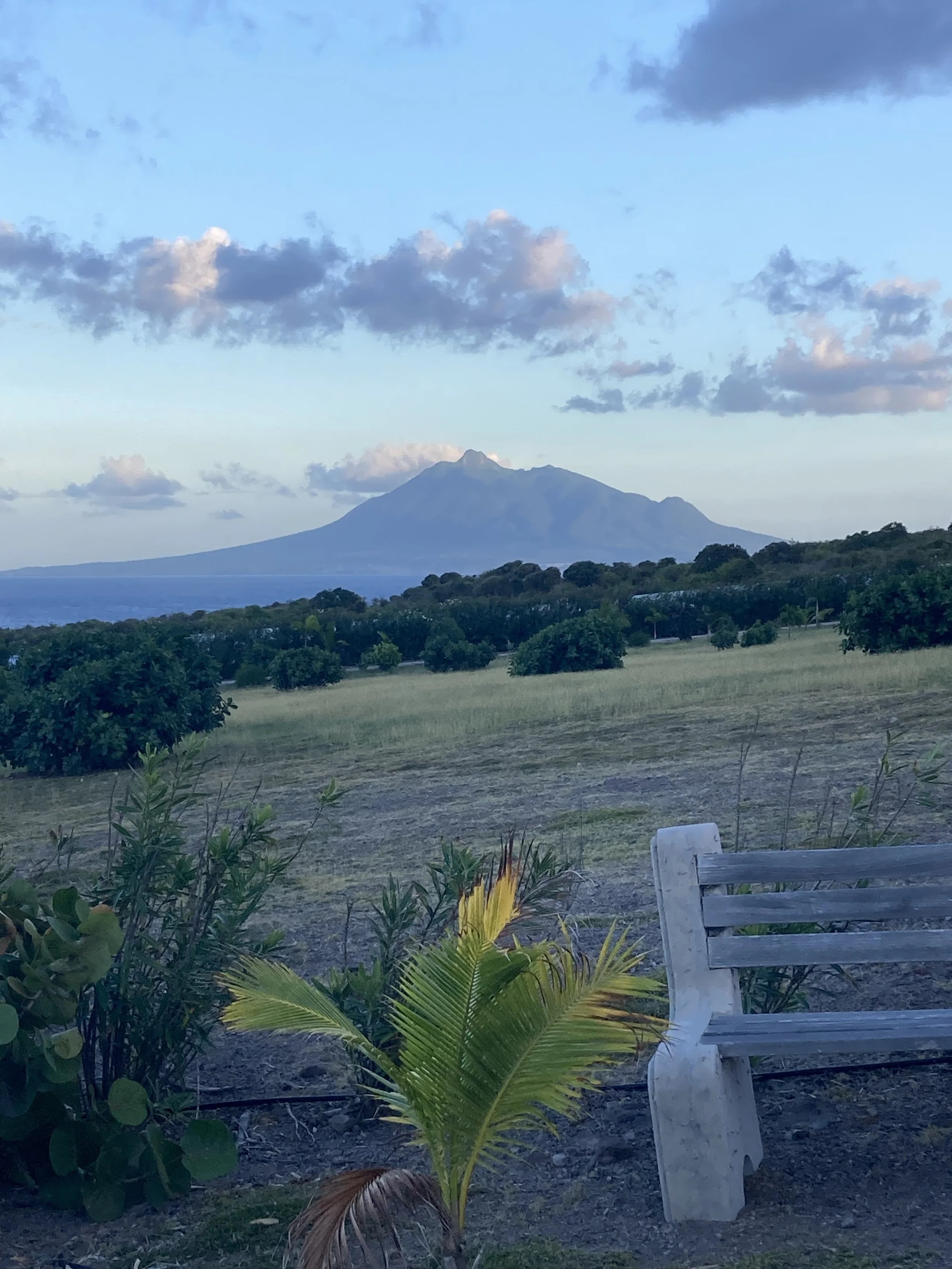 Mary.Nelson.Statia2600010.jpeg